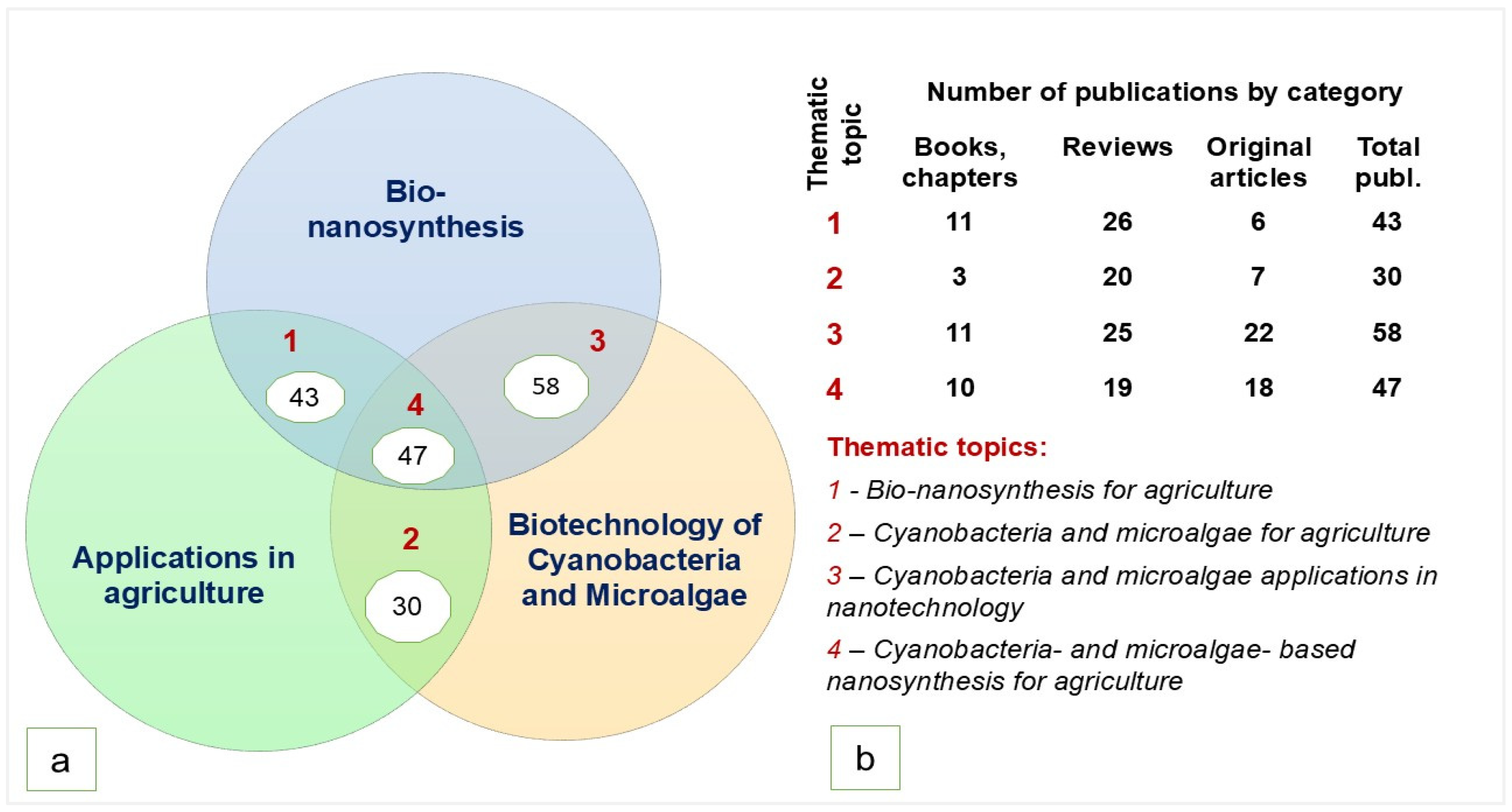 Nanomaterials 15 00990 g001