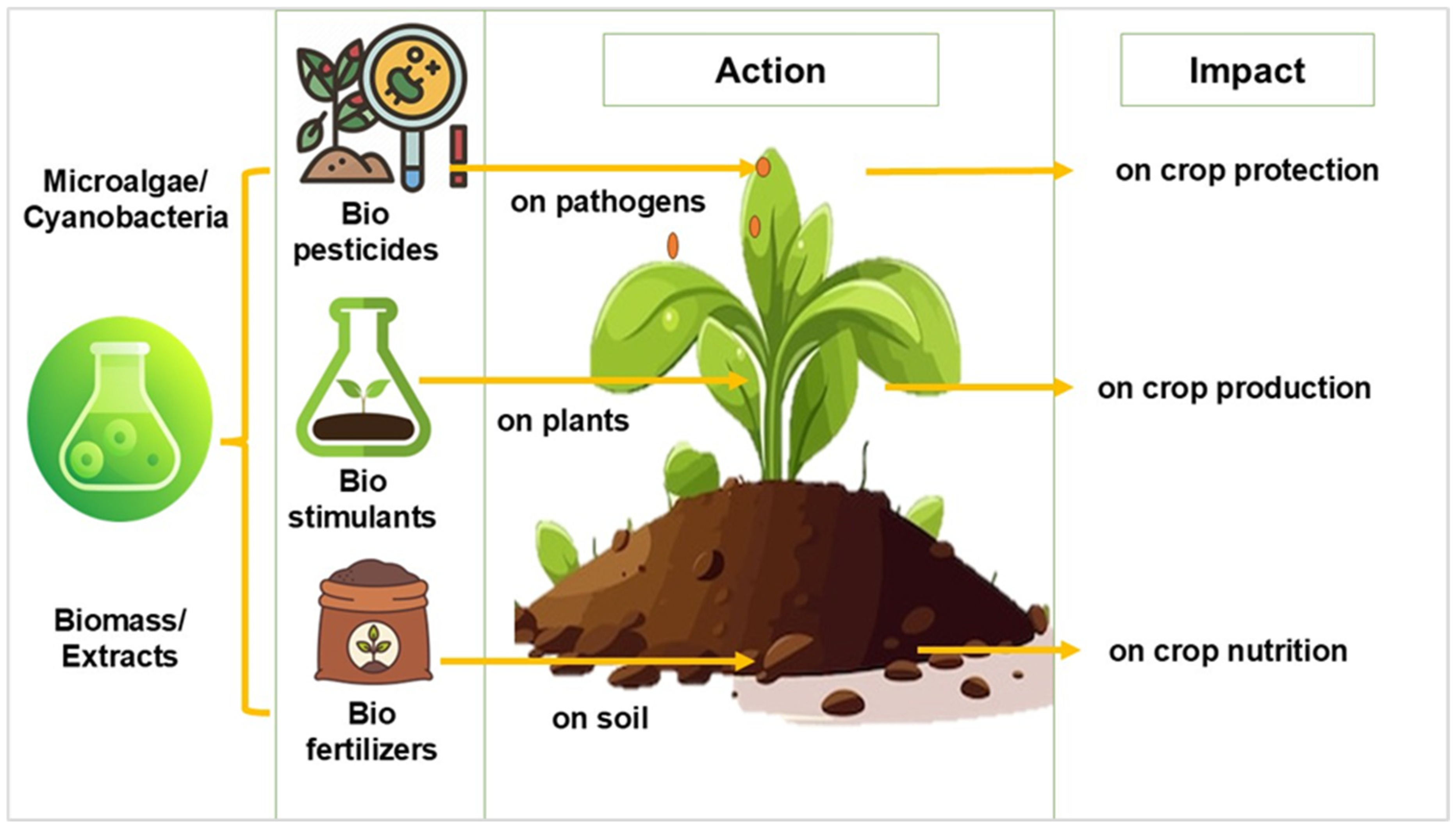 Nanomaterials 15 00990 g004