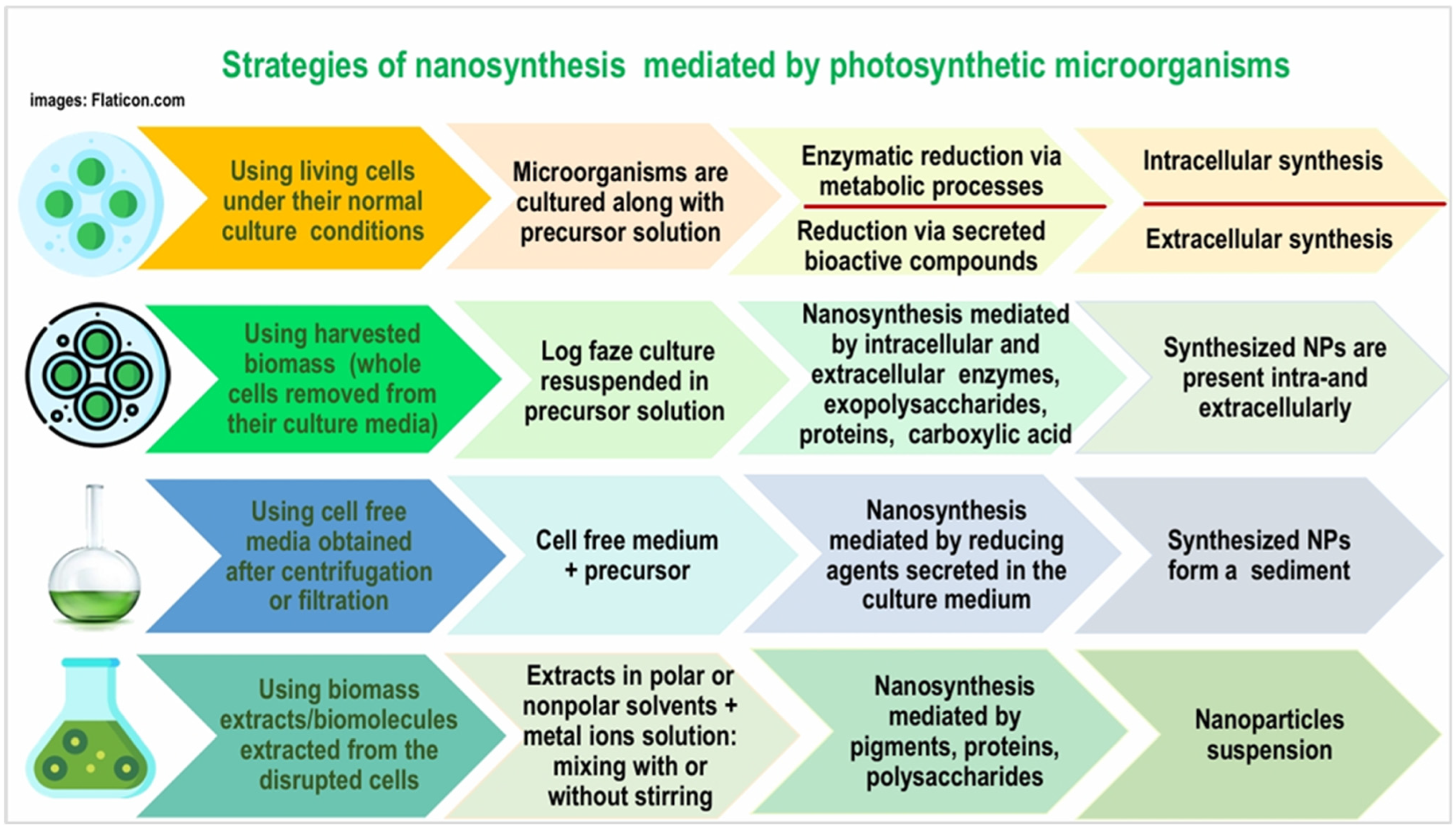 Nanomaterials 15 00990 g007