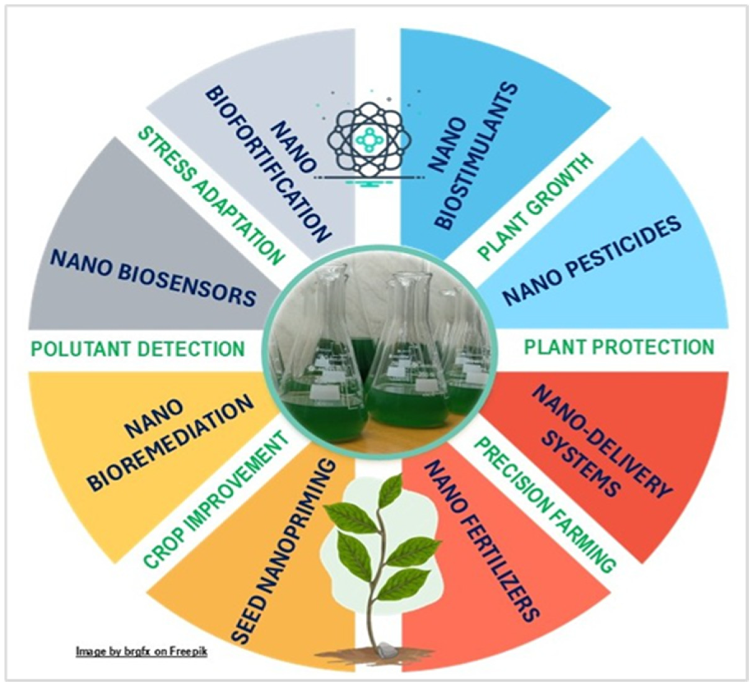 Nanomaterials 15 00990 g008