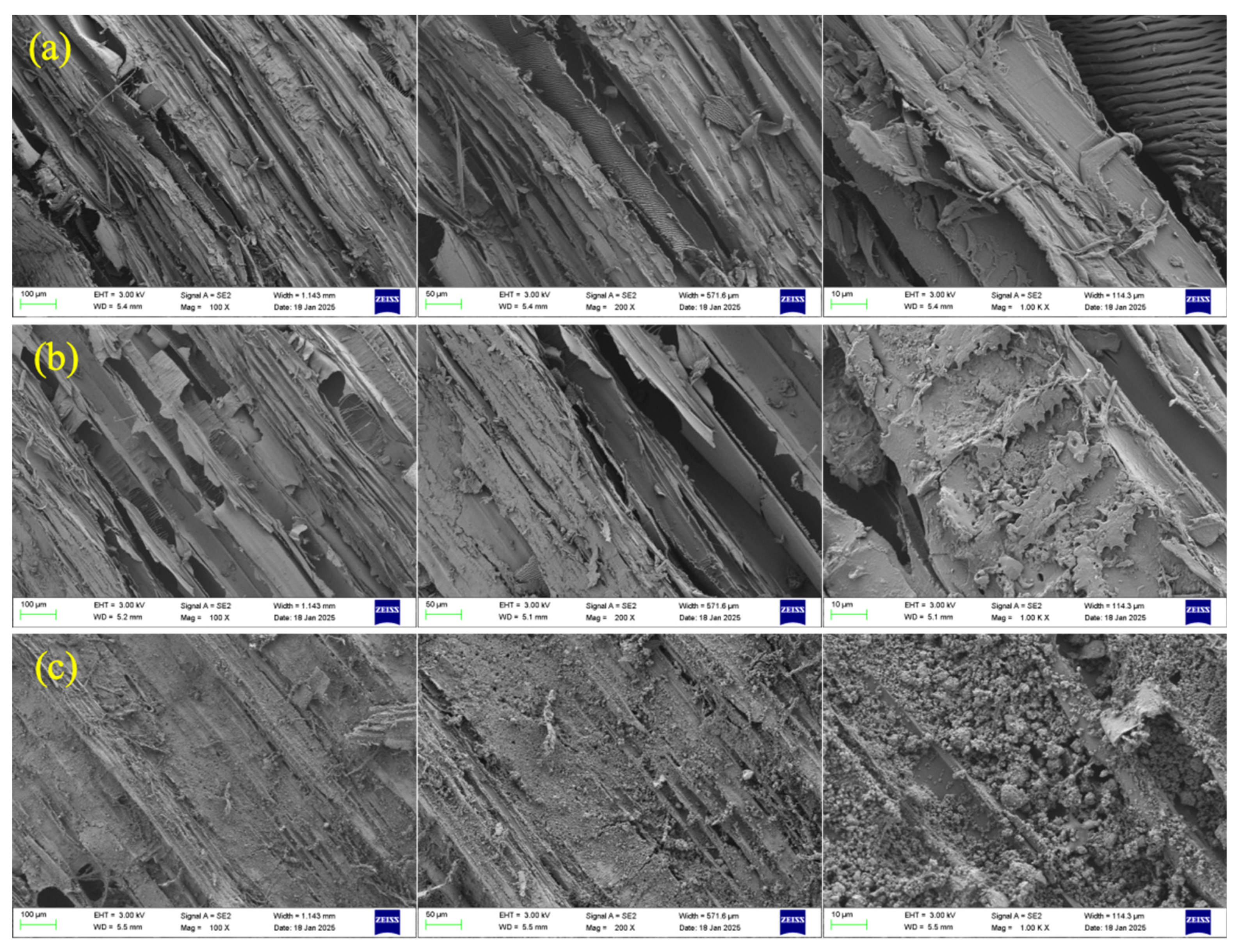 Nanomaterials 15 00993 g007
