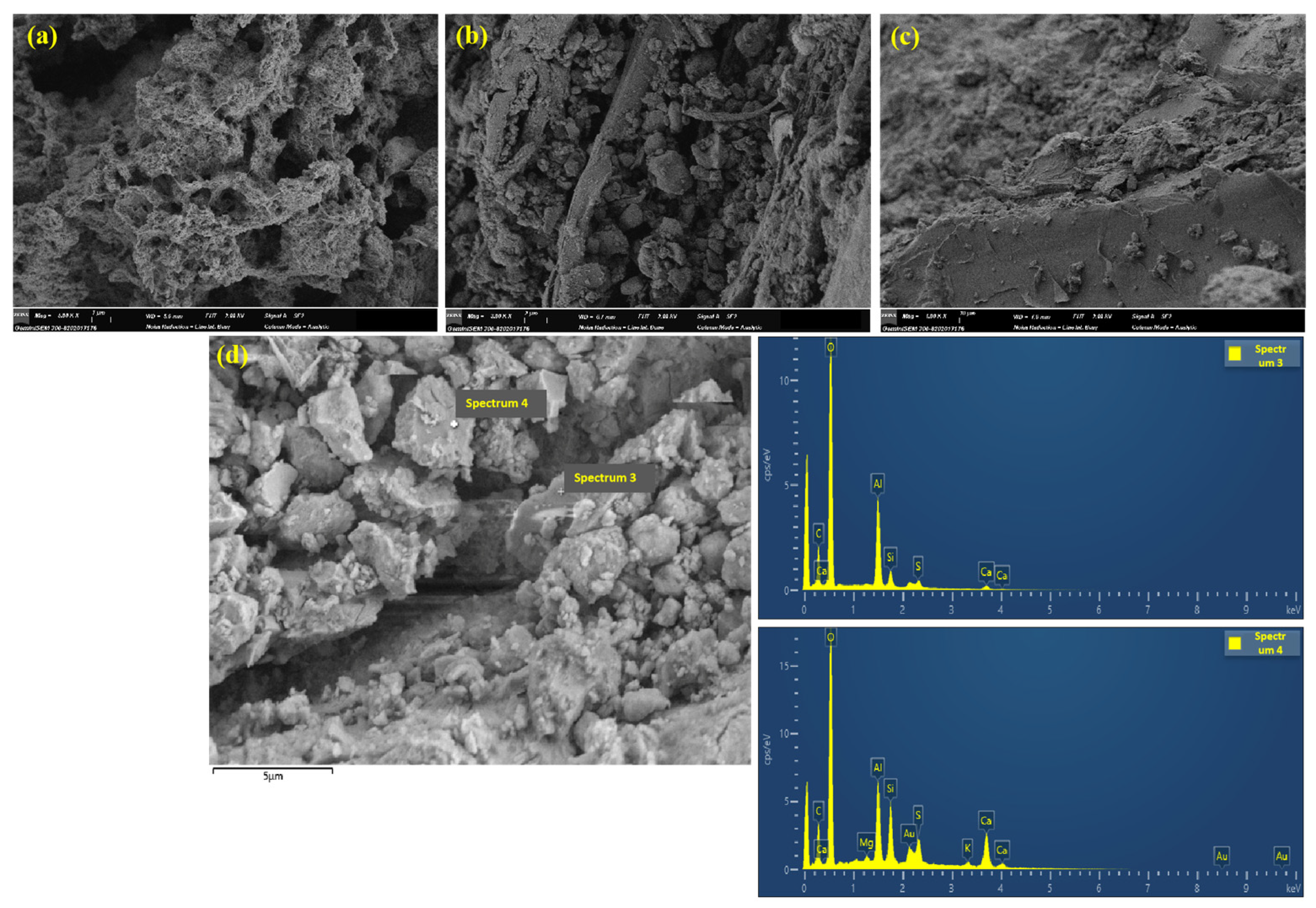 Nanomaterials 15 00993 g019