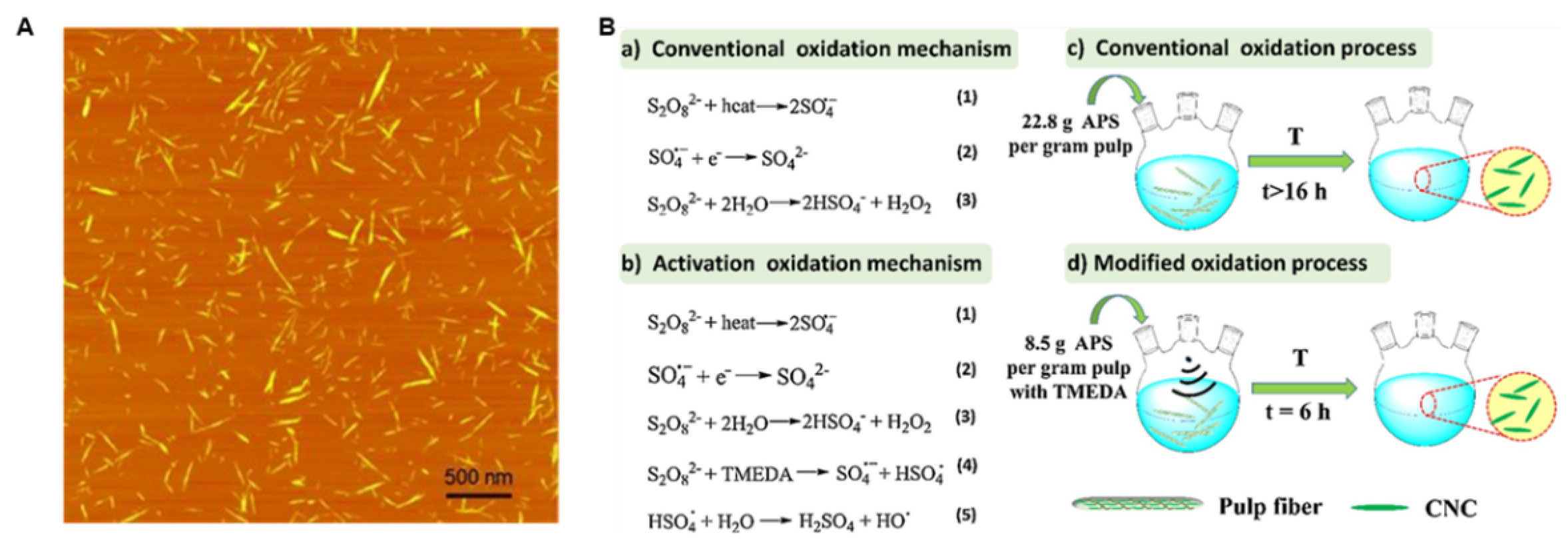 Nanomaterials 15 00996 g003
