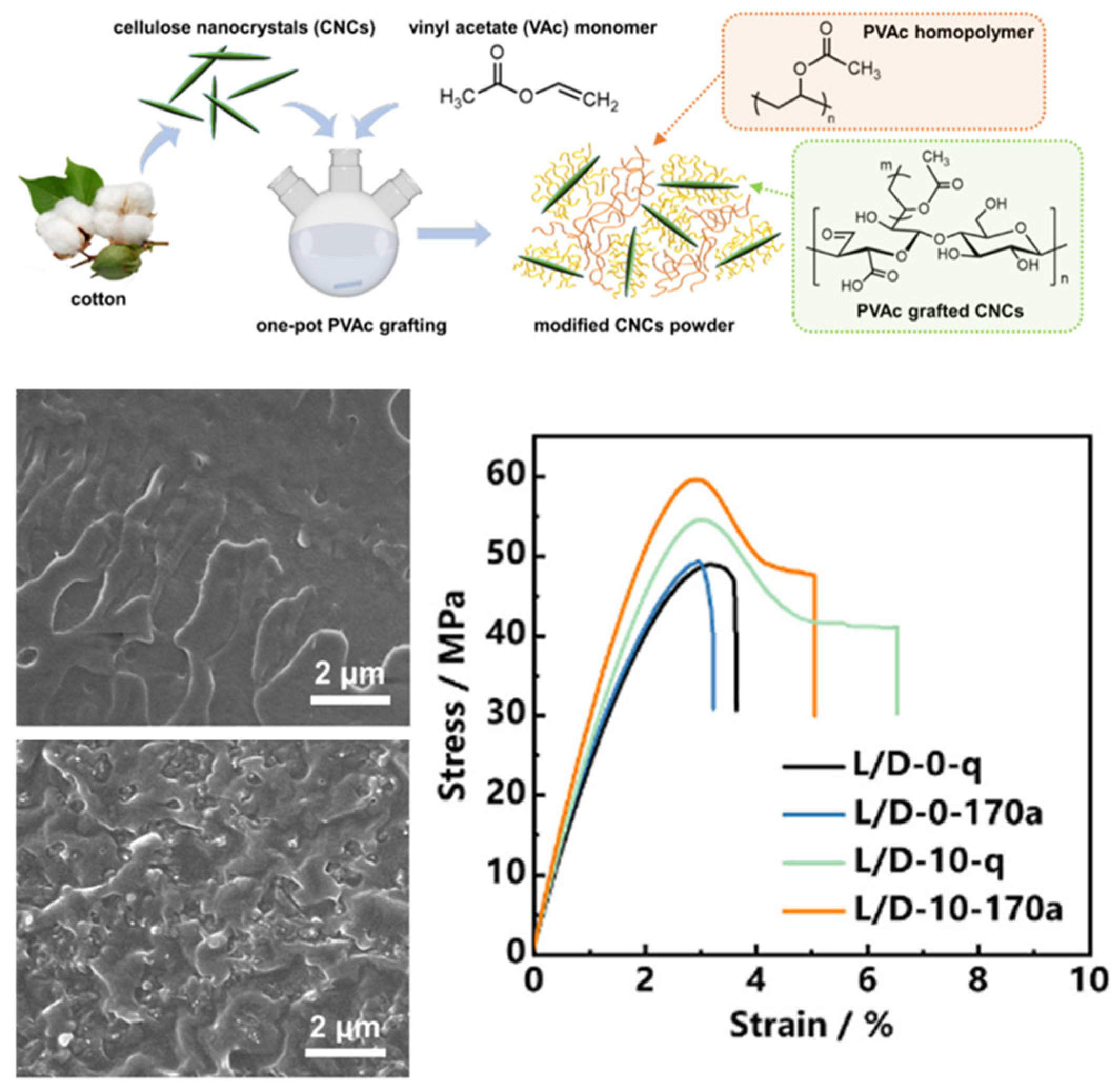 Nanomaterials 15 00996 g005