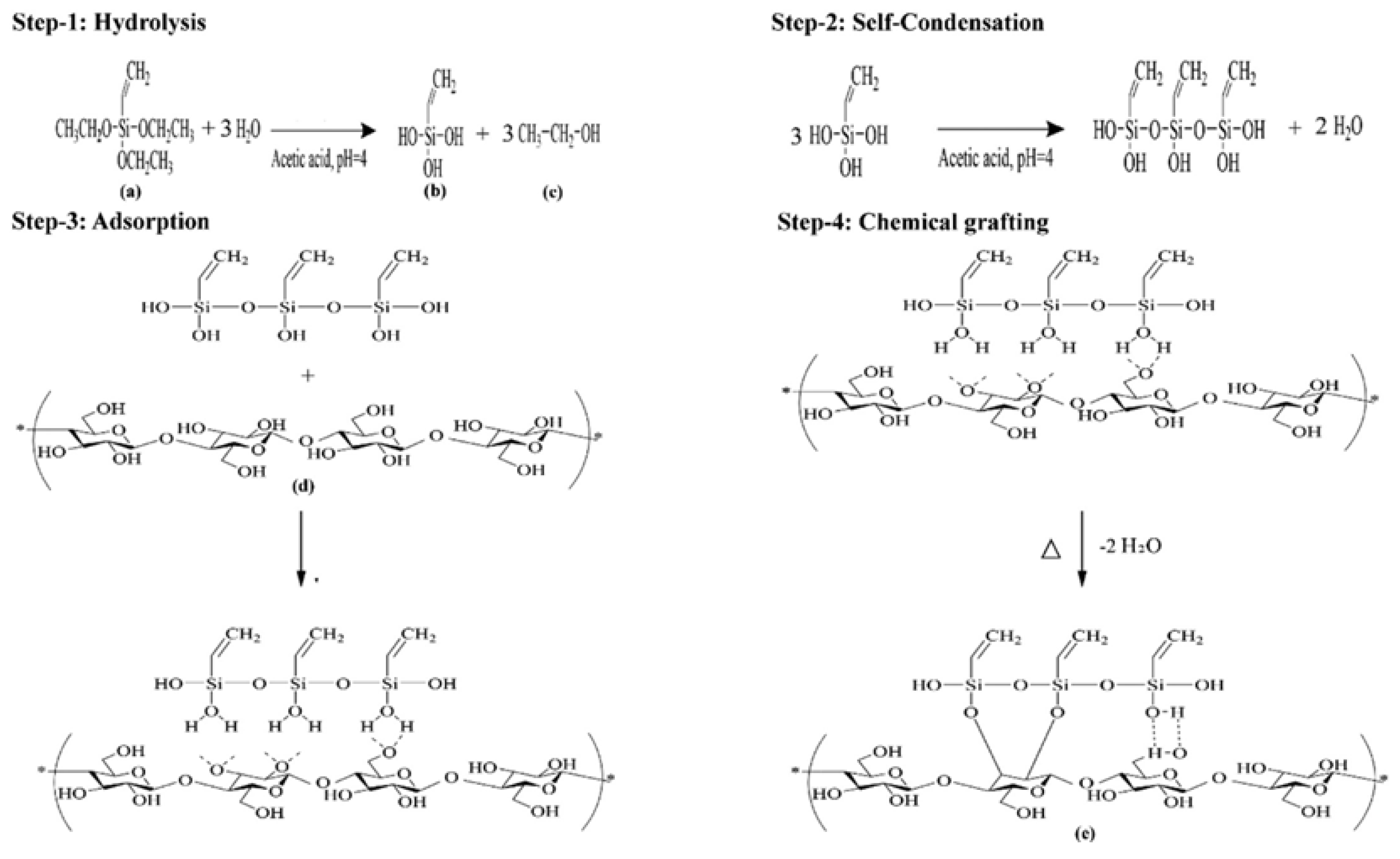 Nanomaterials 15 00996 g007