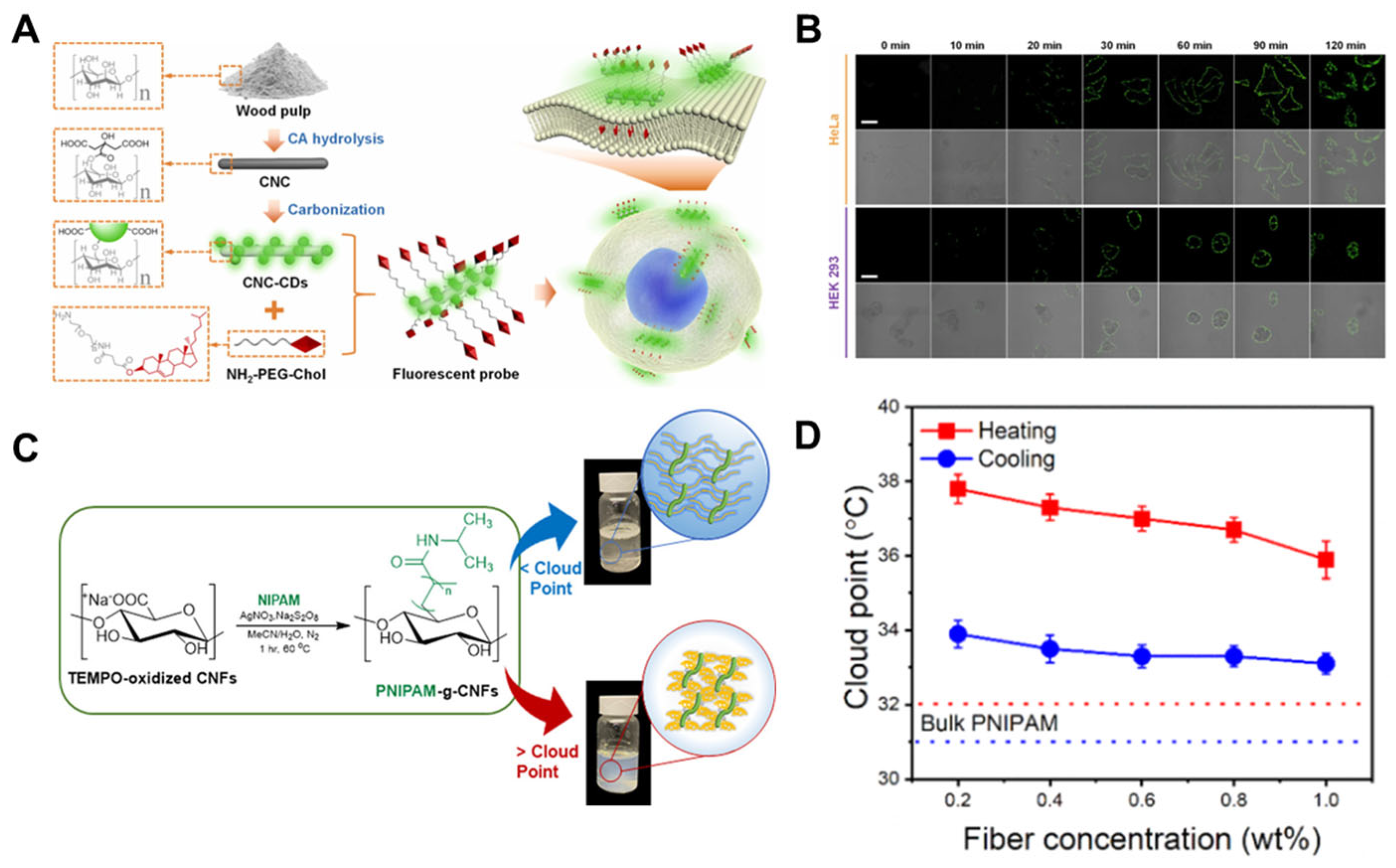Nanomaterials 15 00996 g008