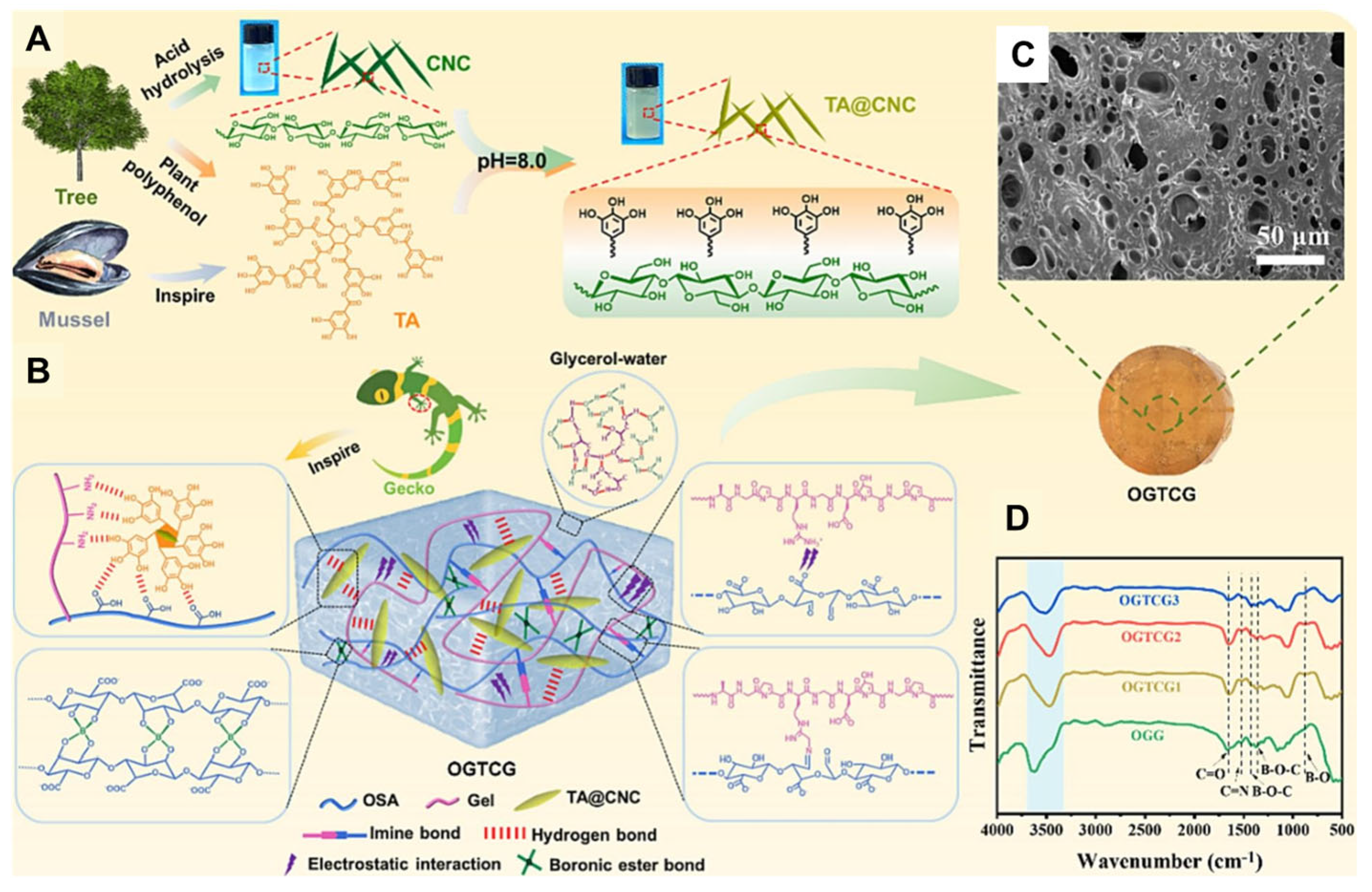 Nanomaterials 15 00996 g010