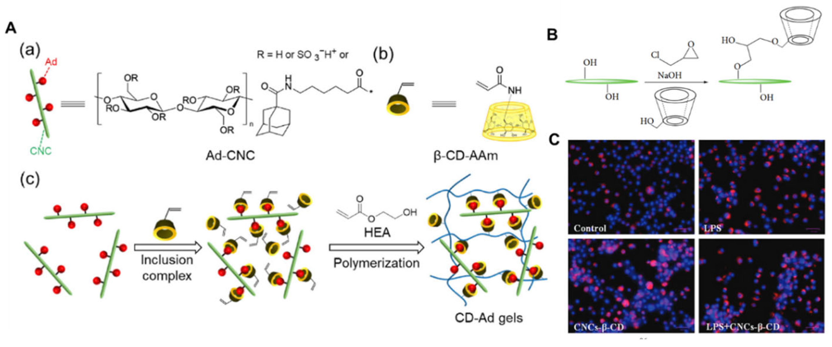 Nanomaterials 15 00996 g011