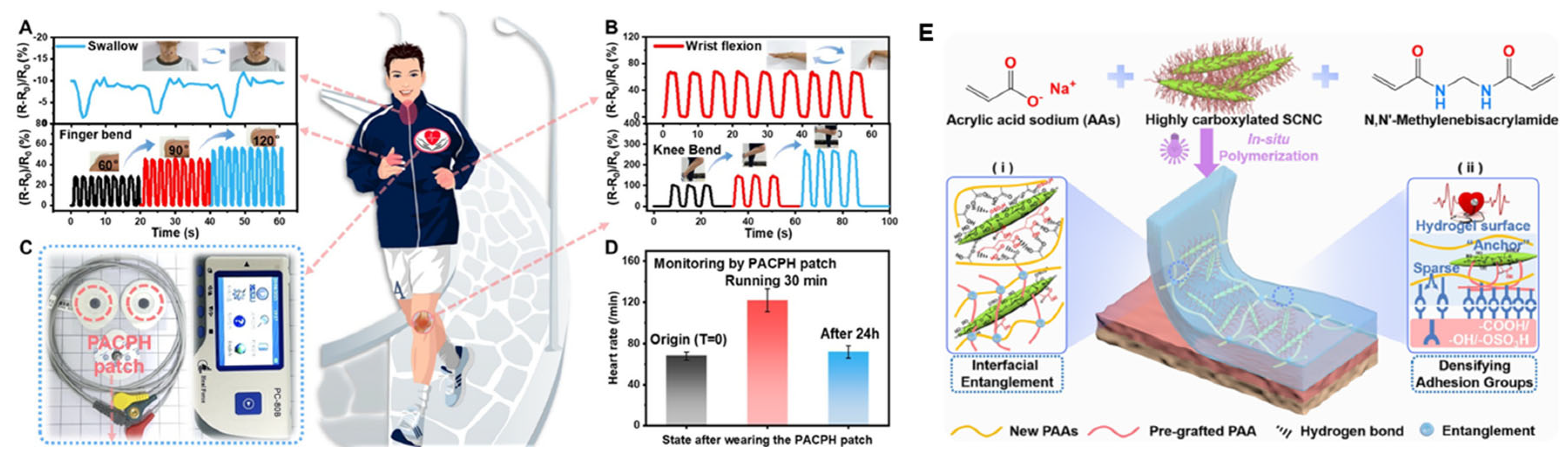 Nanomaterials 15 00996 g012