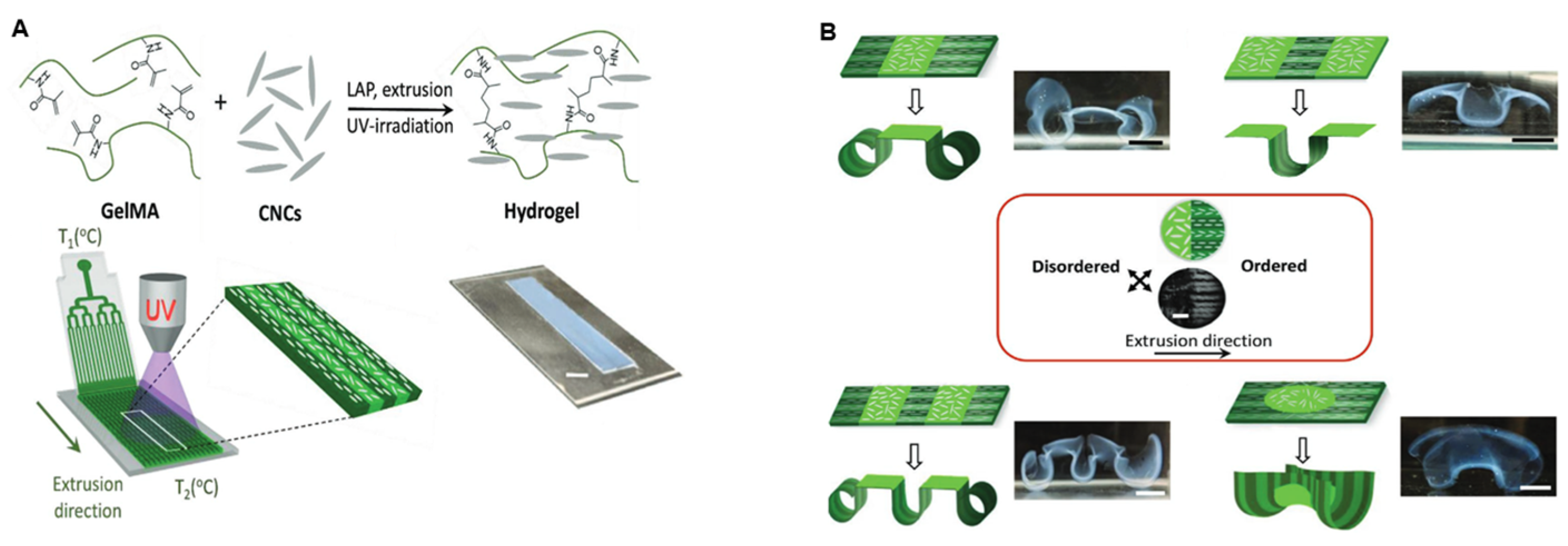 Nanomaterials 15 00996 g015