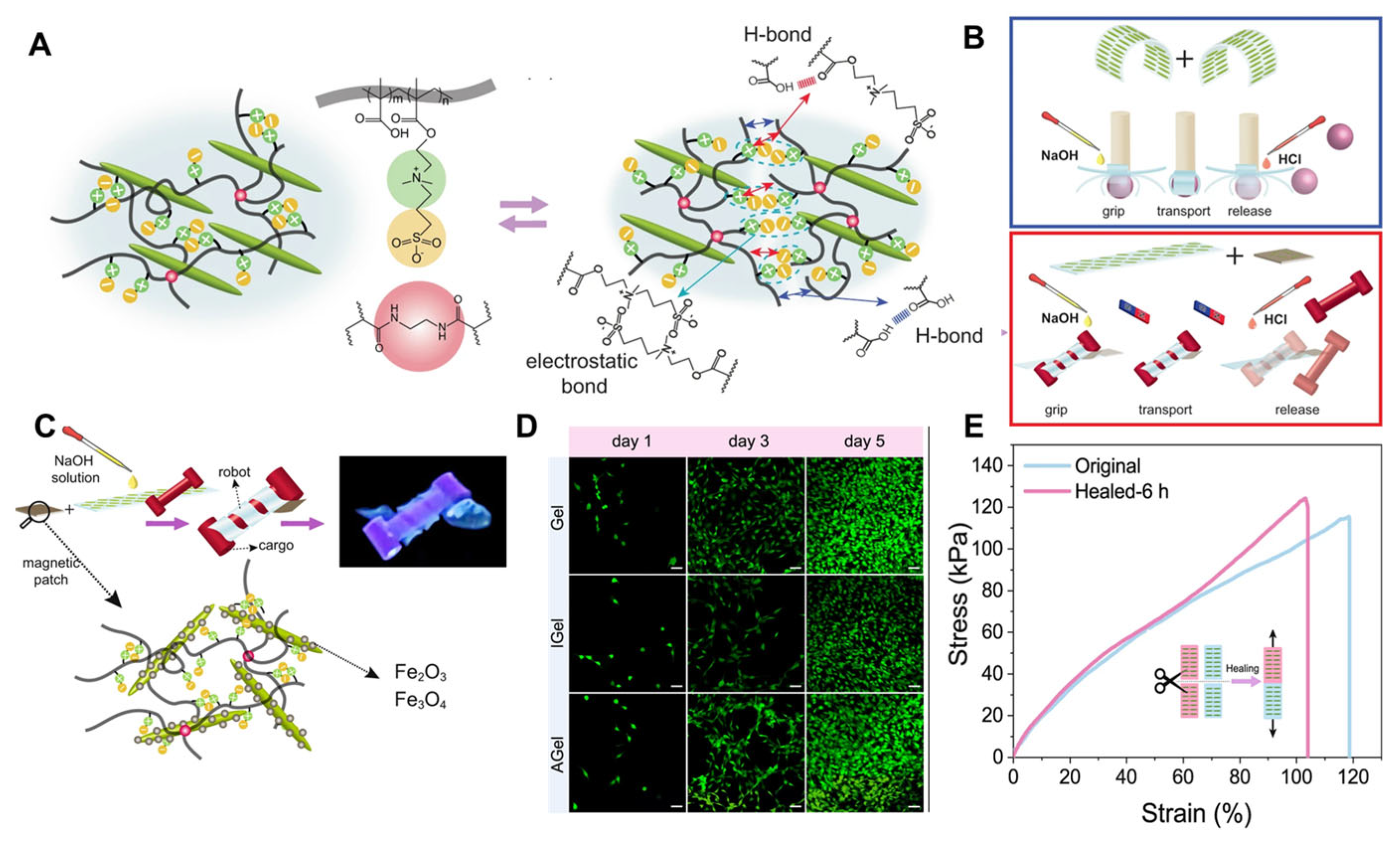 Nanomaterials 15 00996 g016