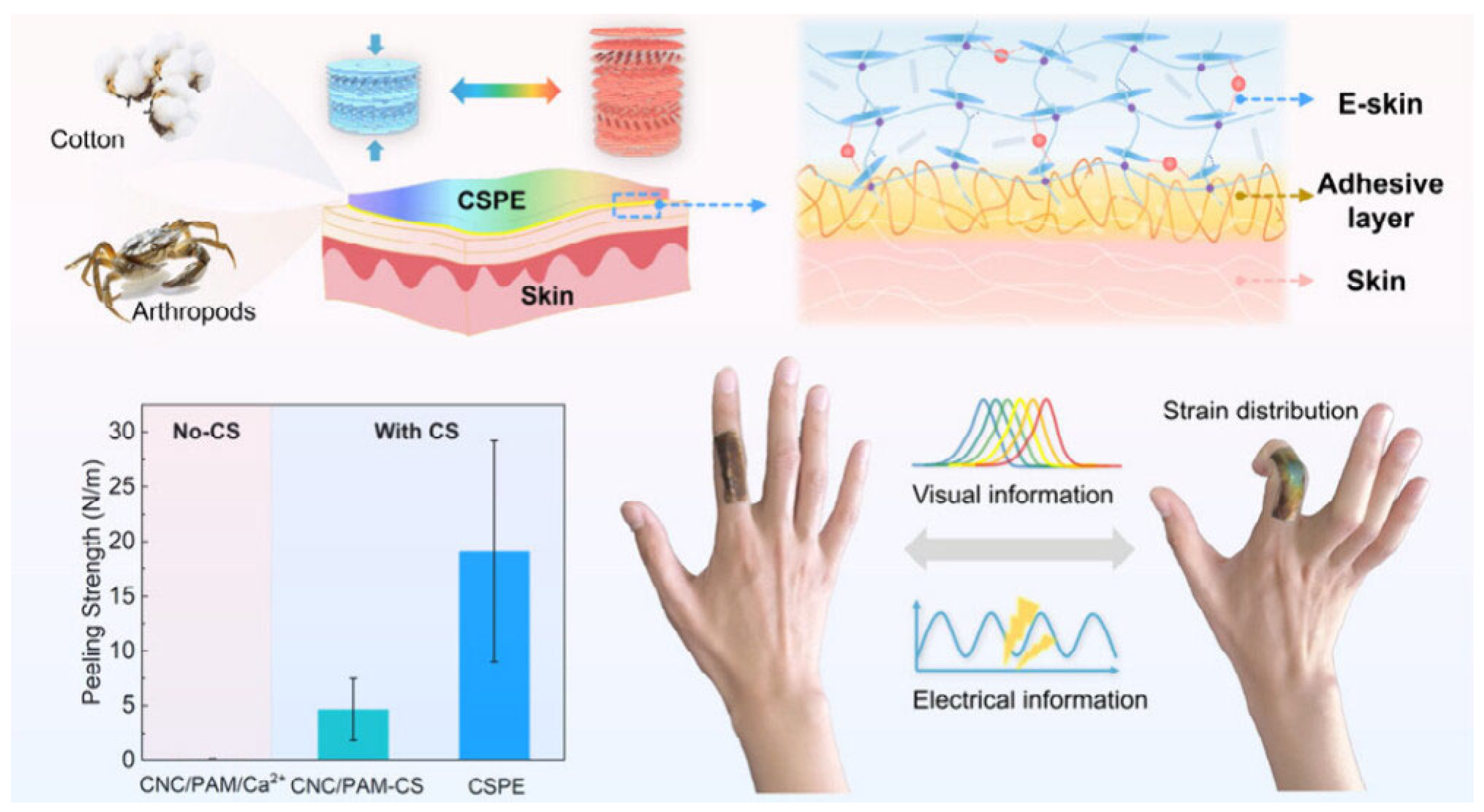 Nanomaterials 15 00996 g018