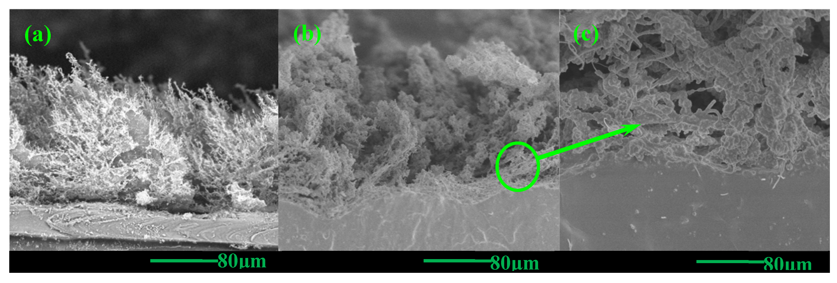 Nanomaterials 15 00997 g011
