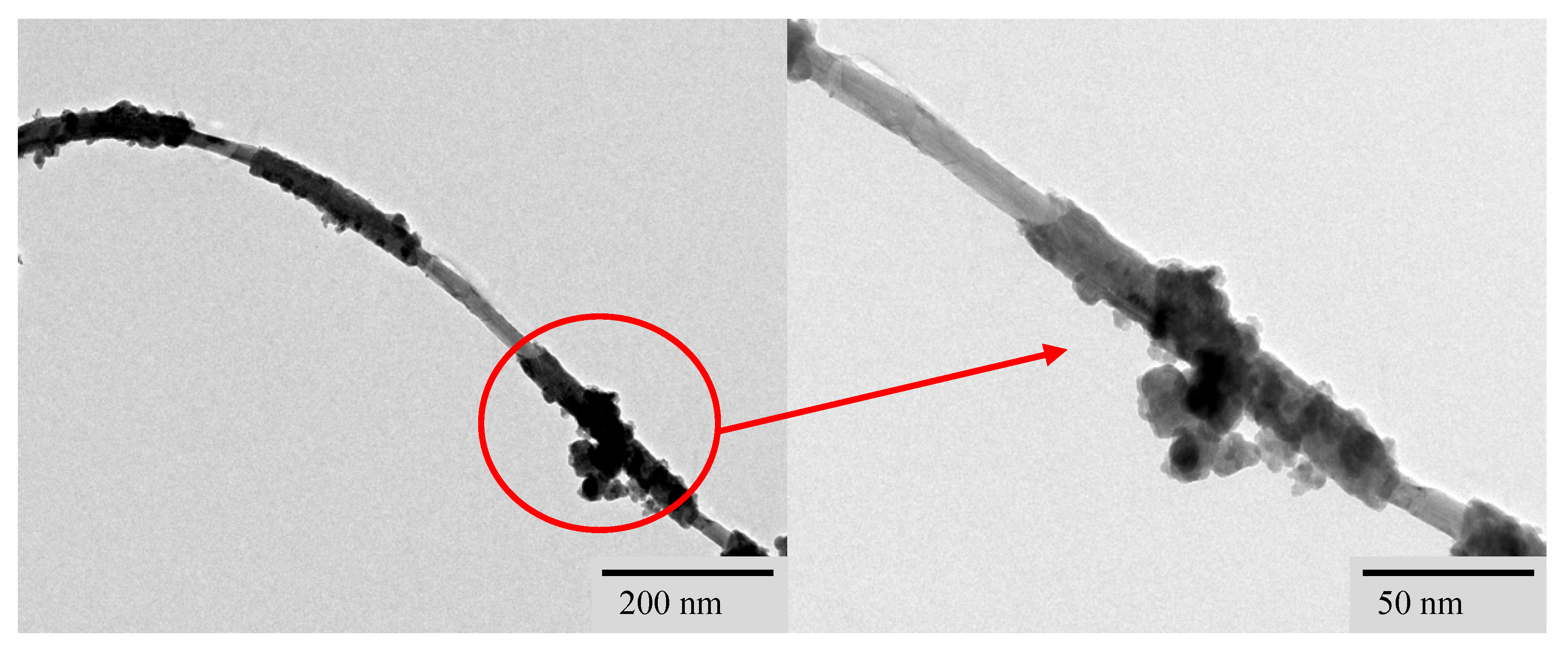 Nanomaterials 15 00997 g012