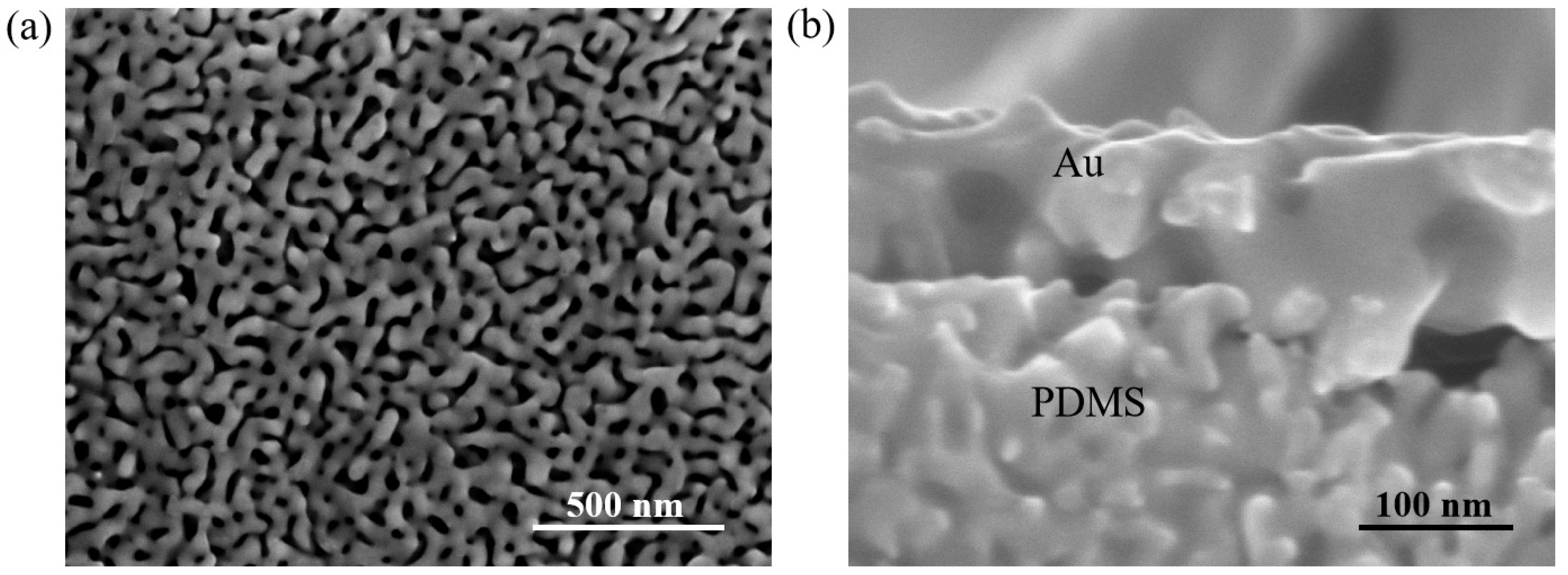 Nanomaterials 15 01001 g002