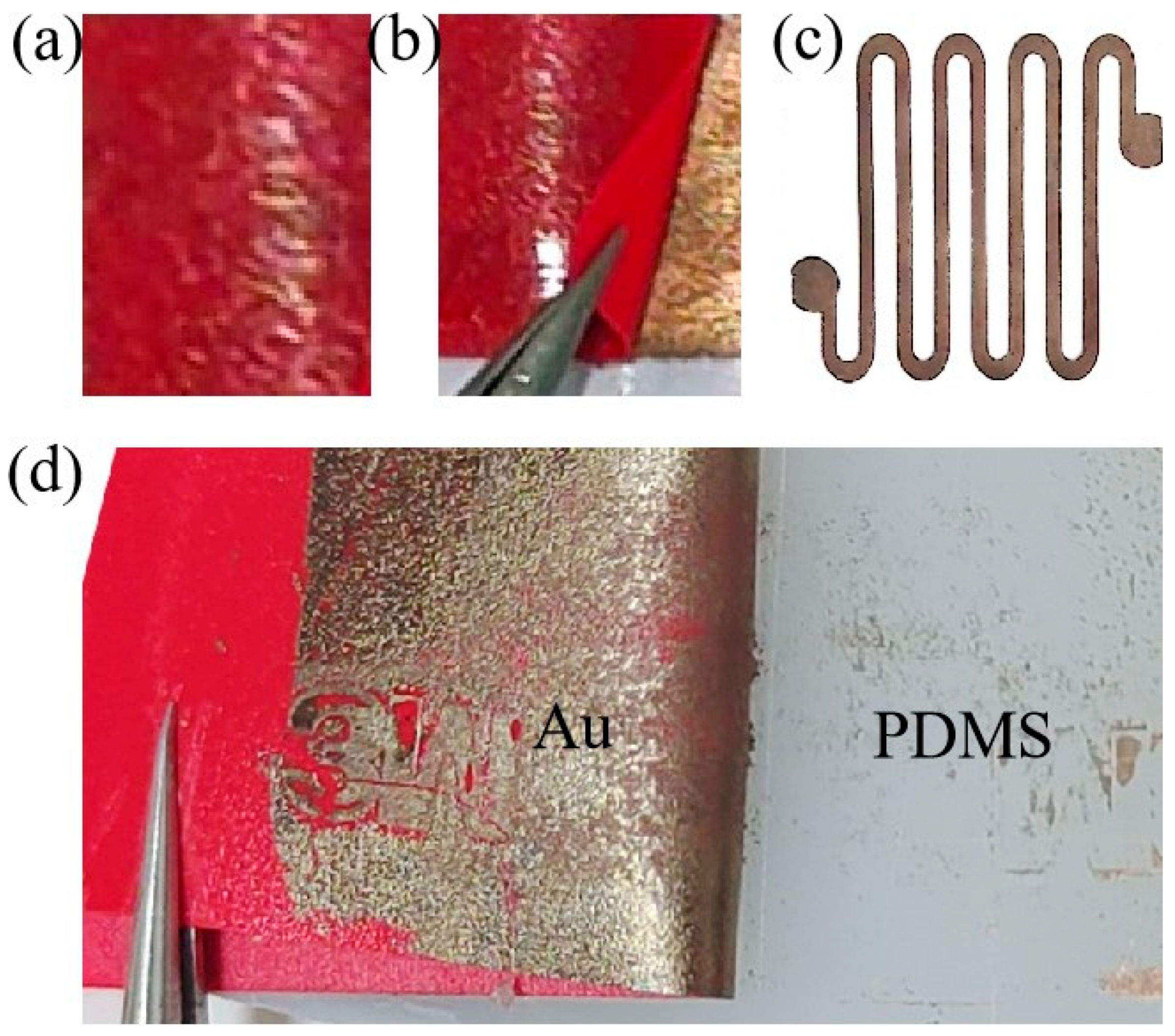 Nanomaterials 15 01001 g003