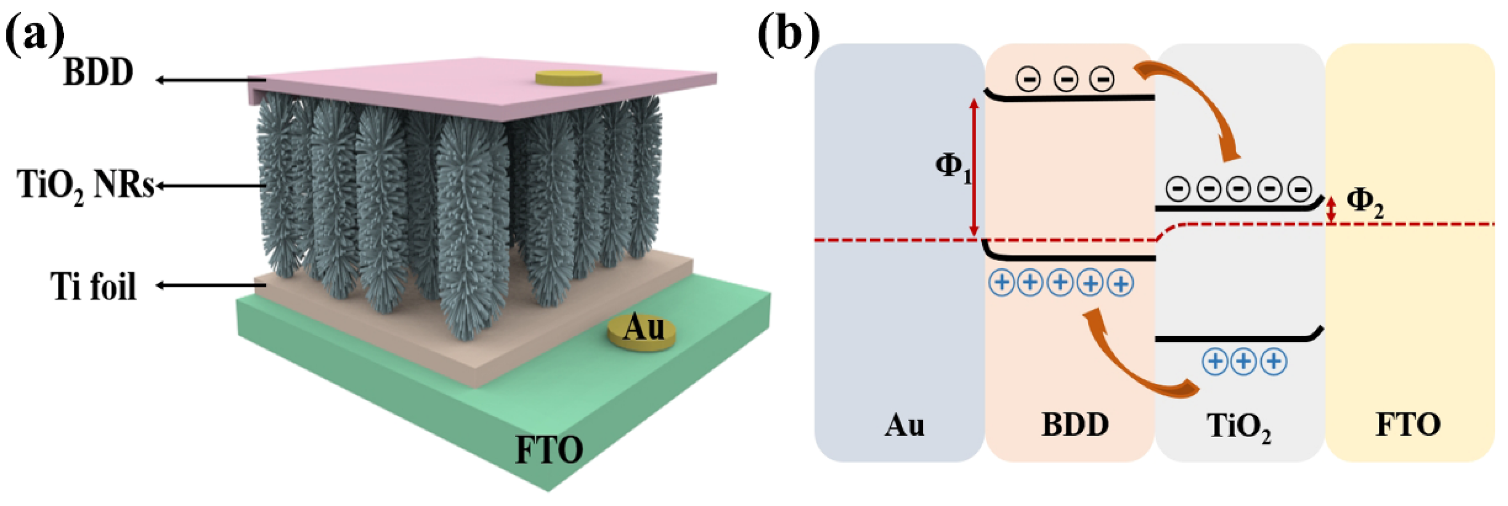 Nanomaterials 15 01003 g002