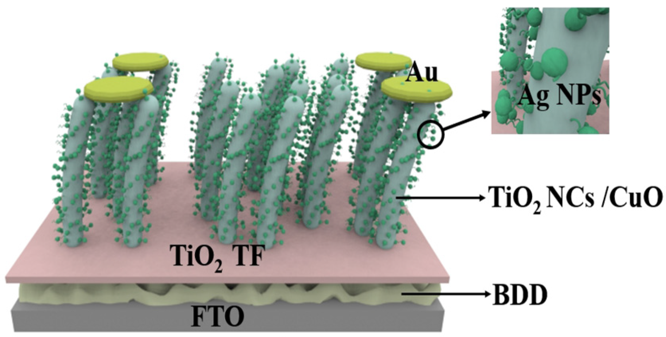 Nanomaterials 15 01003 g003