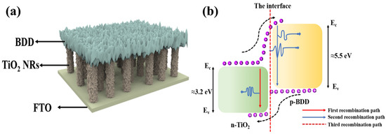 インバーター 楽天市場】【送料無料】【高品質】ビッグインテーク ディオ(AF18