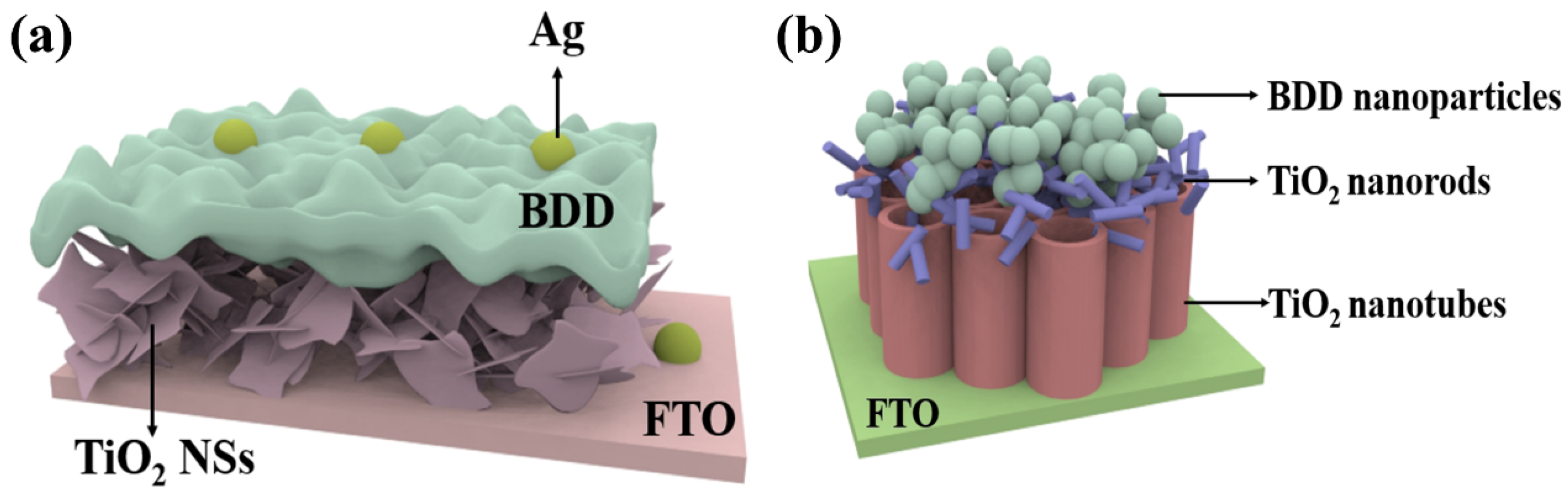 Nanomaterials 15 01003 g005