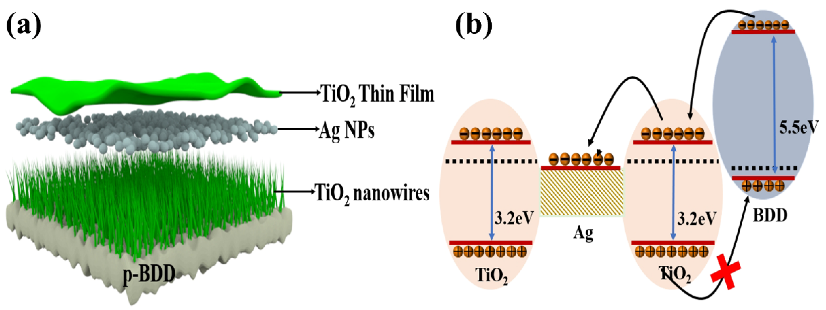 Nanomaterials 15 01003 g006