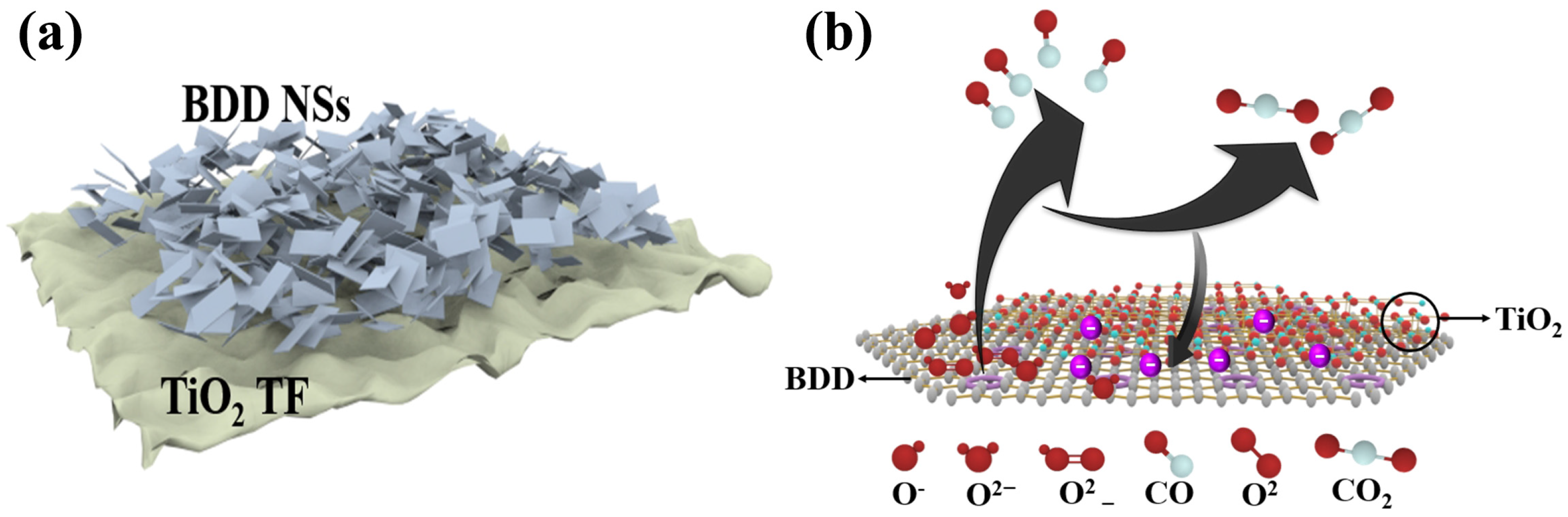 Nanomaterials 15 01003 g008