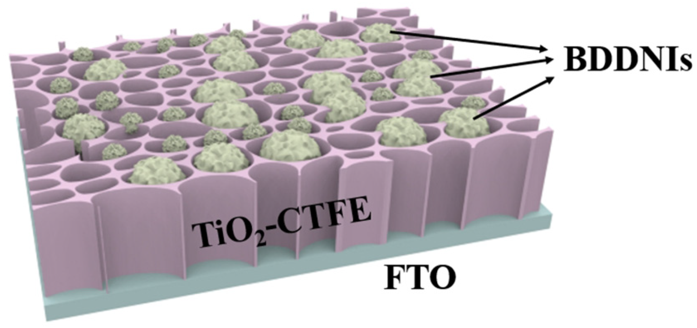Nanomaterials 15 01003 g010