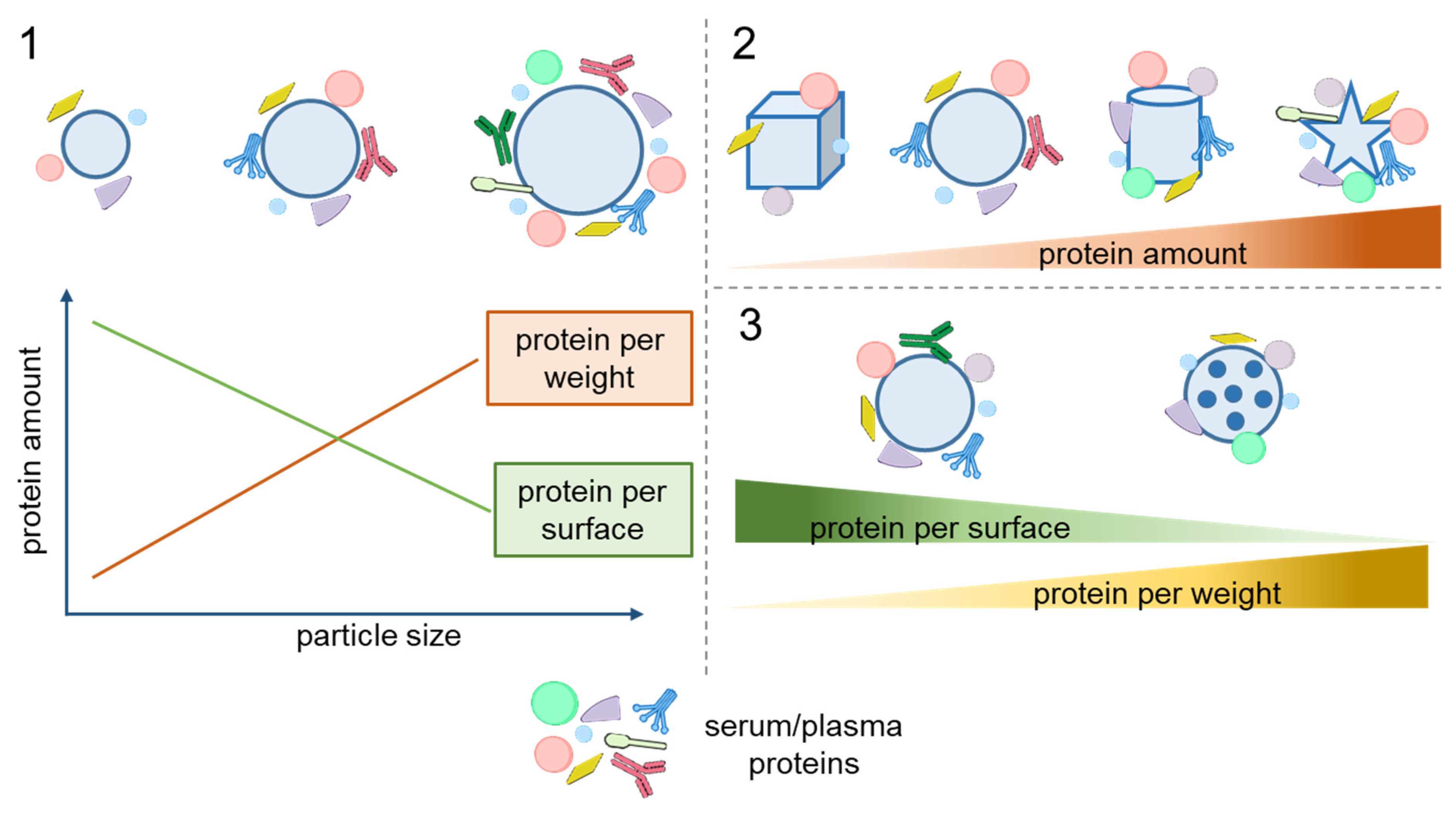 Nanomaterials 15 01013 g002