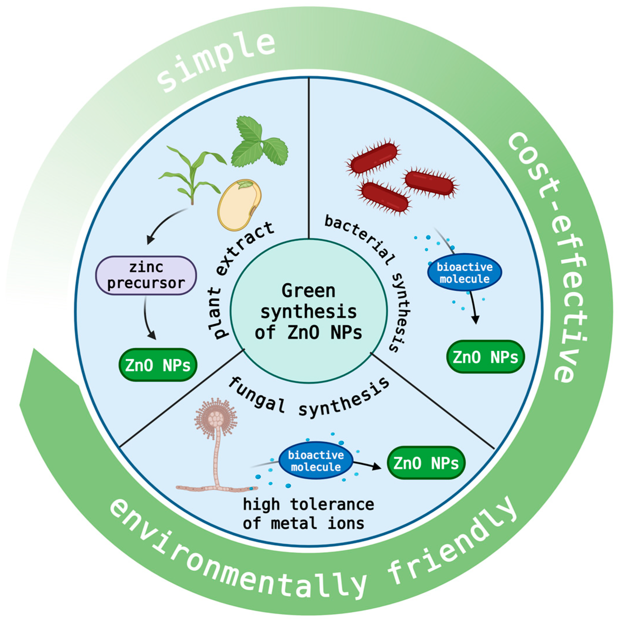 Nanomaterials 15 01030 g001 Nanomaterials 15 01030 g001