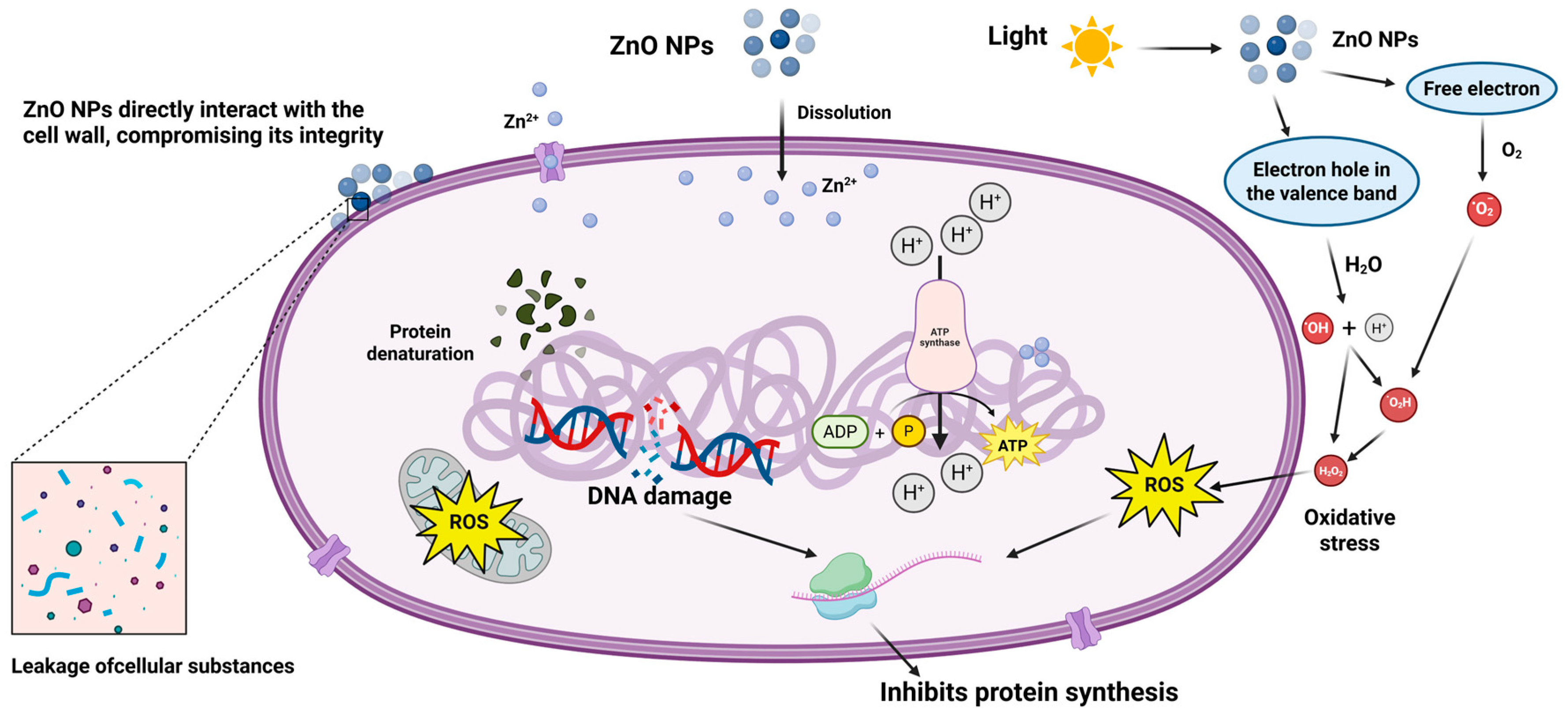 Nanomaterials 15 01030 g002 Nanomaterials 15 01030 g002