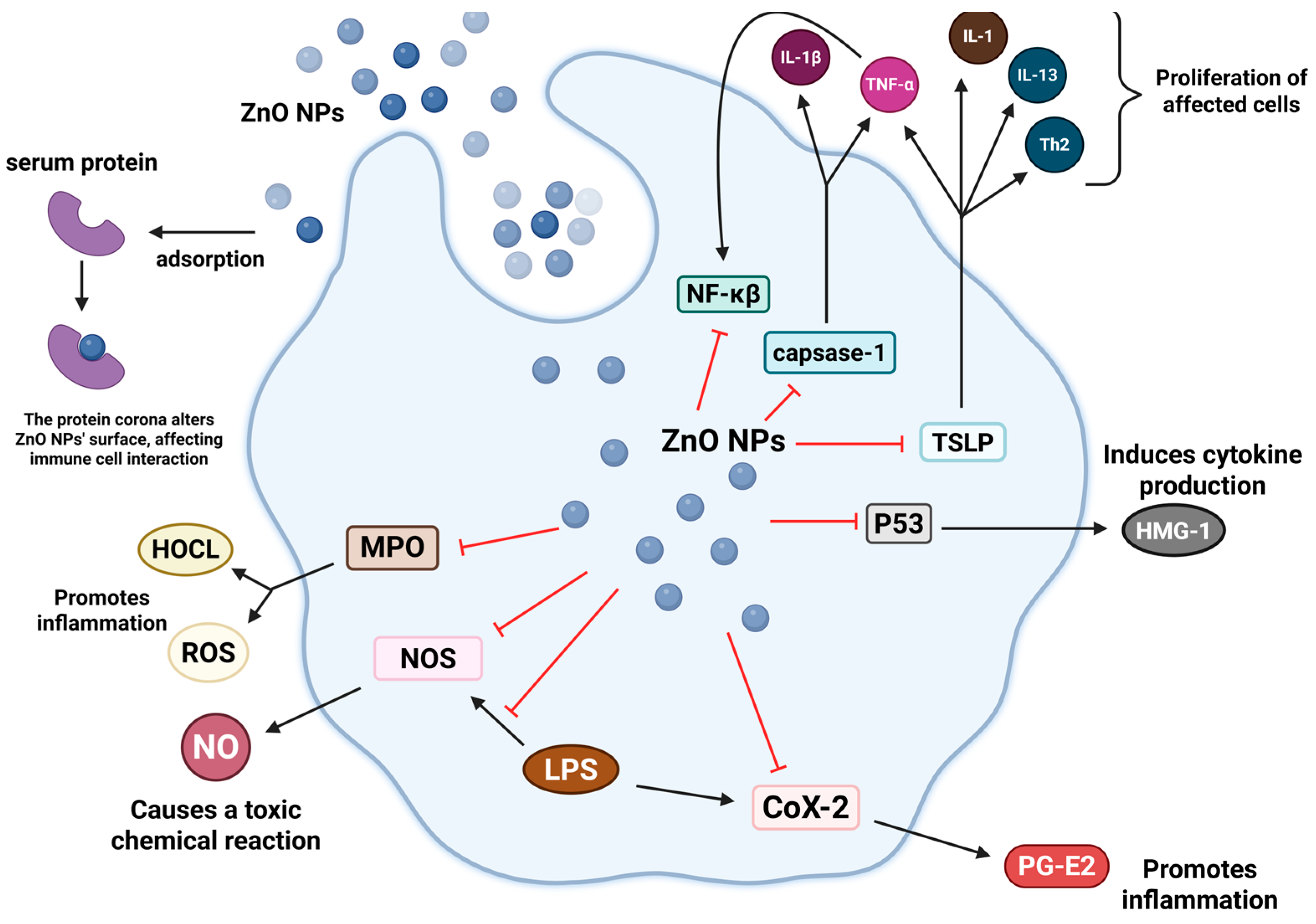 Nanomaterials 15 01030 g003 Nanomaterials 15 01030 g003