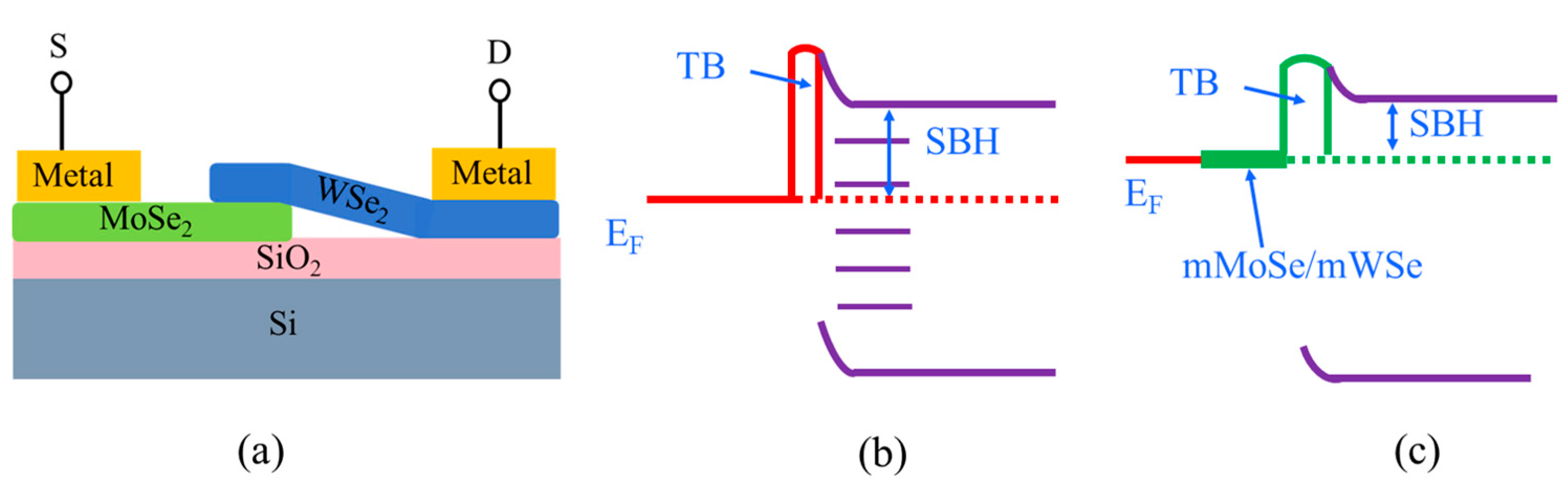 Nanomaterials 15 01035 g008