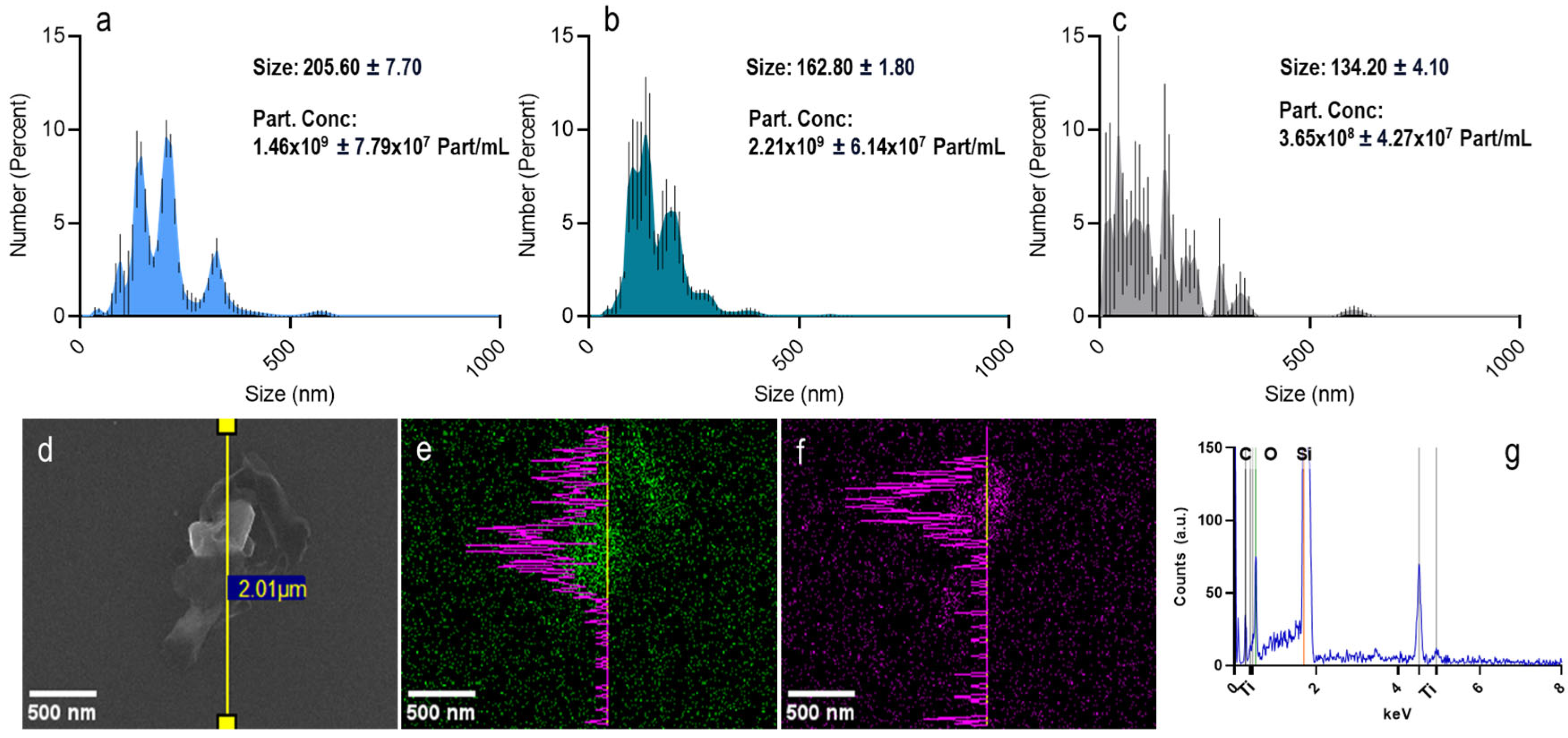 Nanomaterials 15 01040 g001