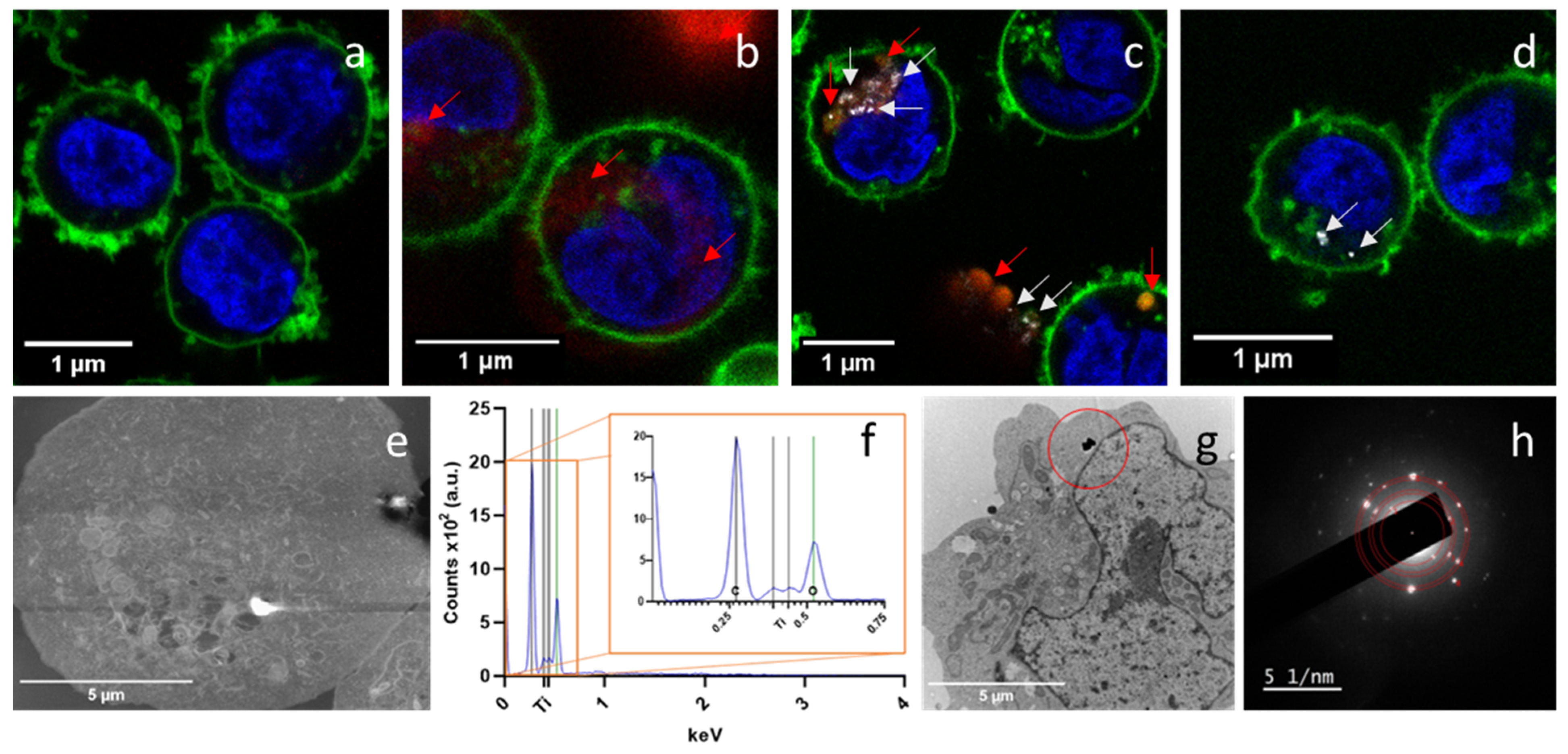 Nanomaterials 15 01040 g004