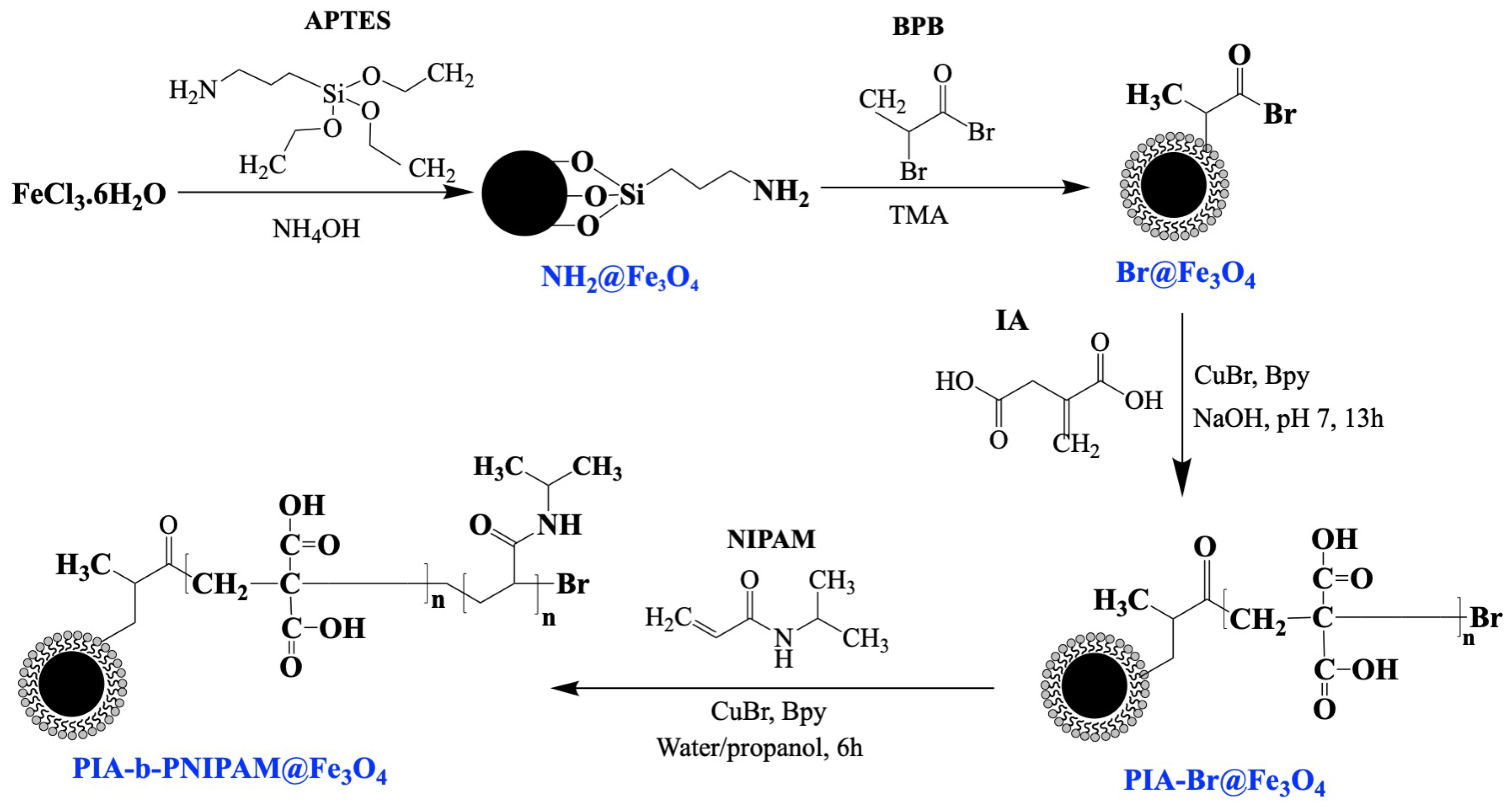 Nanomaterials 15 01041 g001