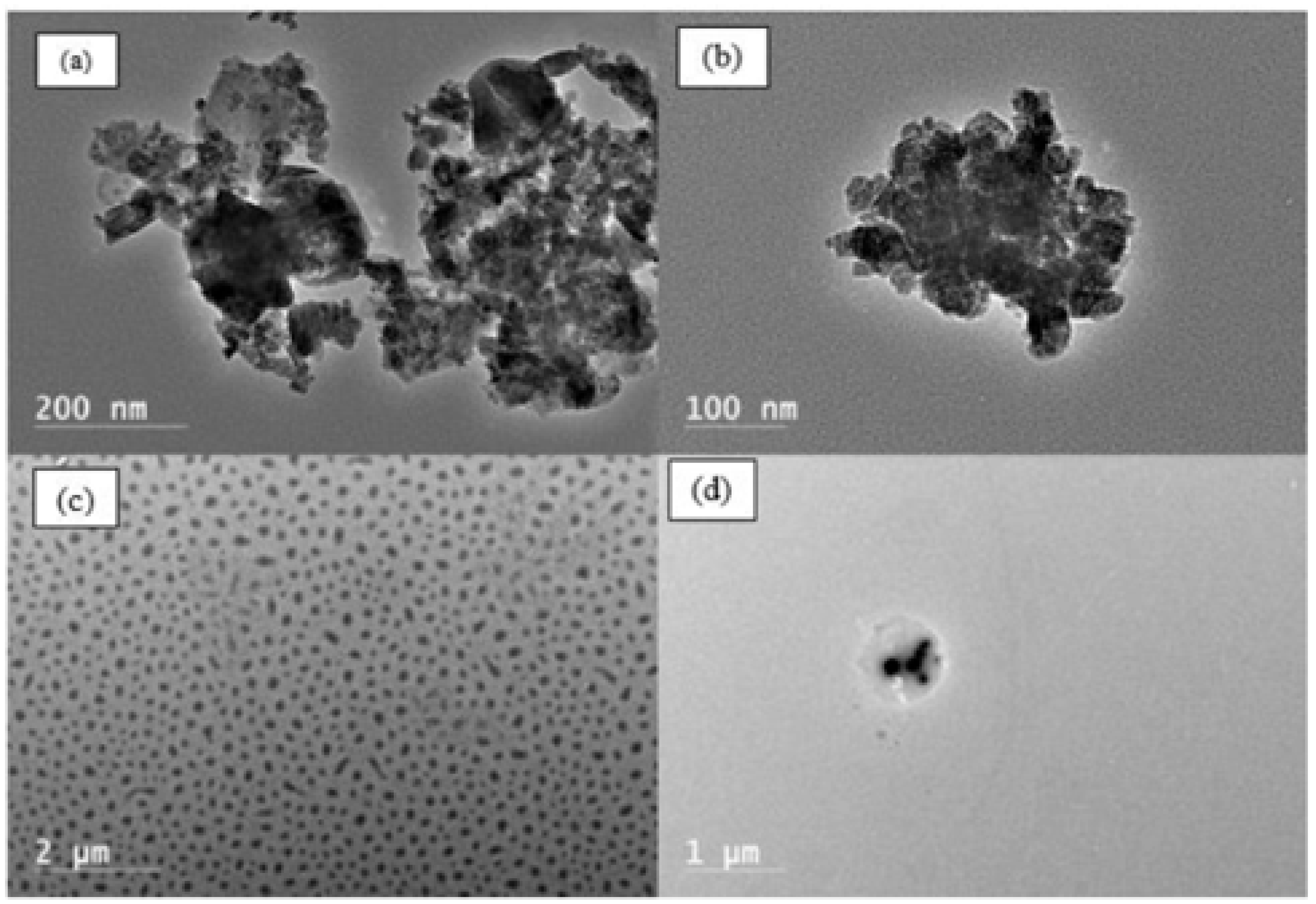 Nanomaterials 15 01041 g003