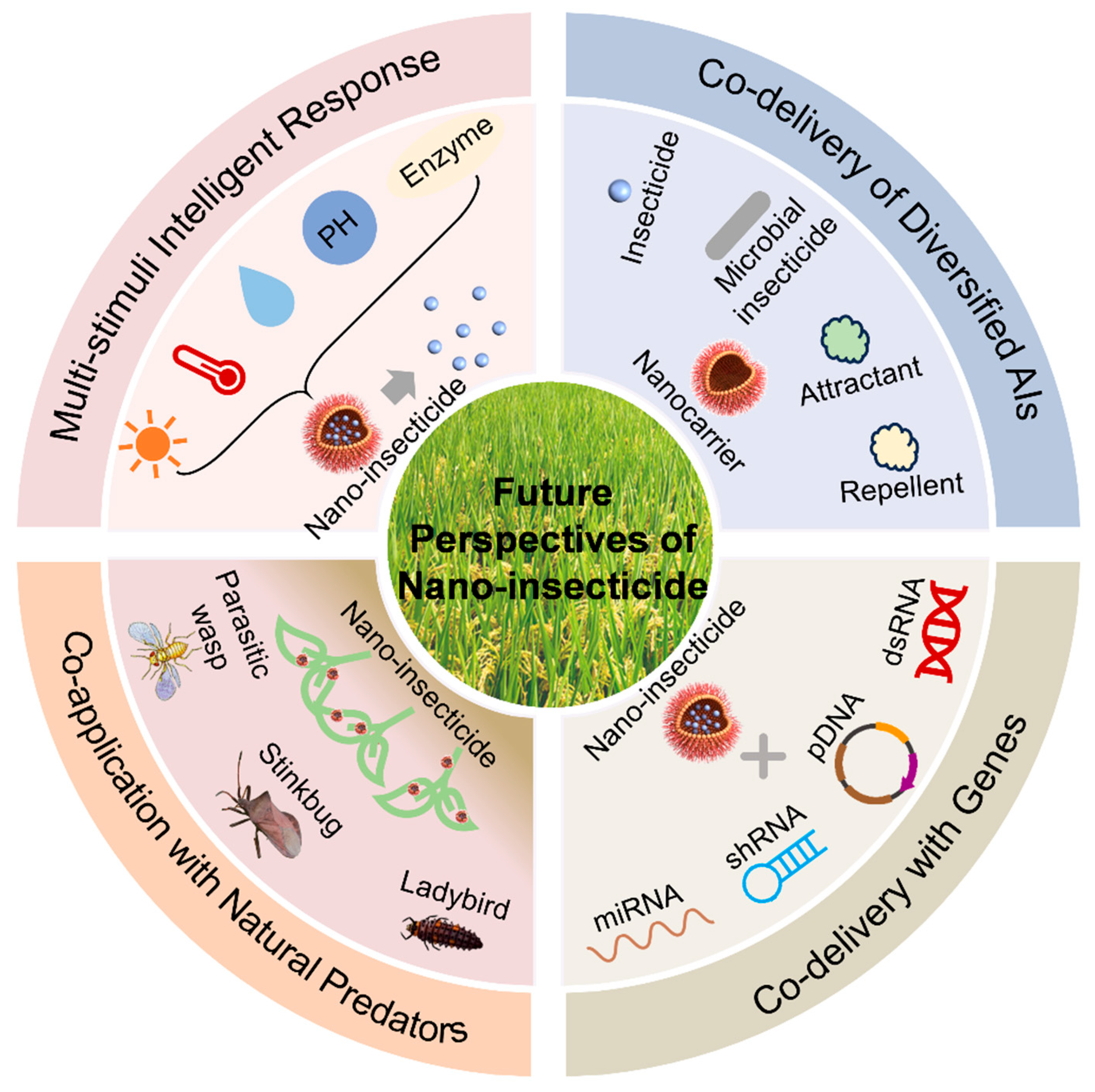 Nanomaterials 15 01050 g002