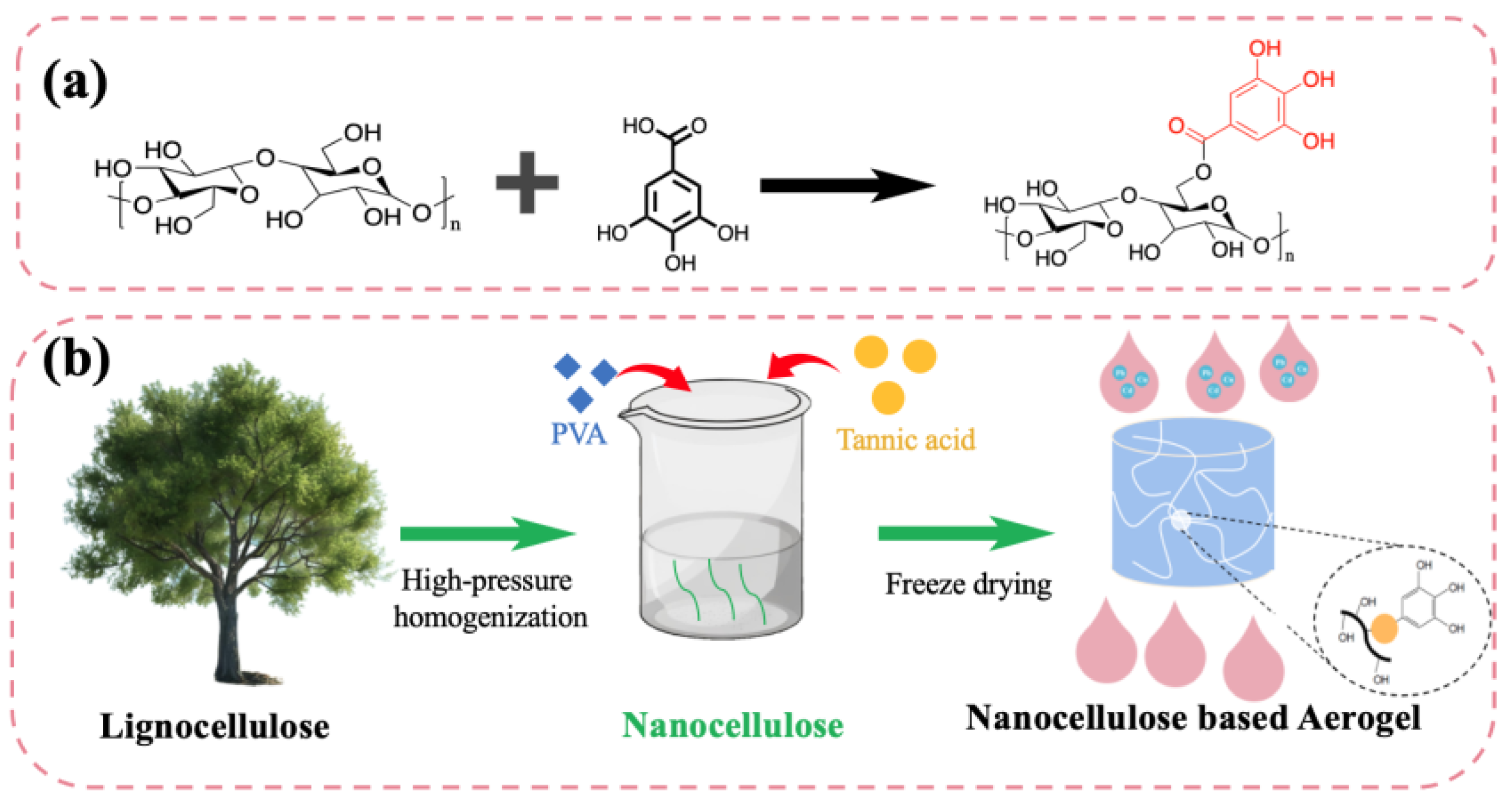 Nanomaterials 15 01063 g001