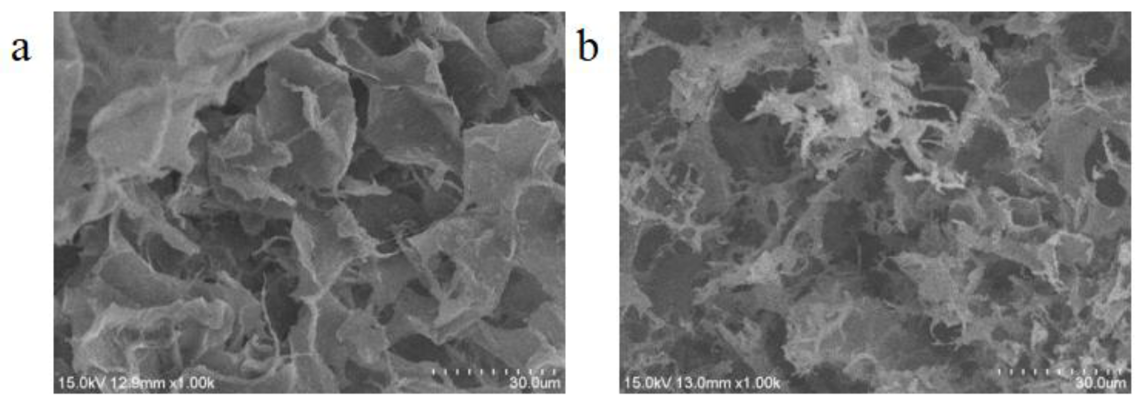 Nanomaterials 15 01063 g003