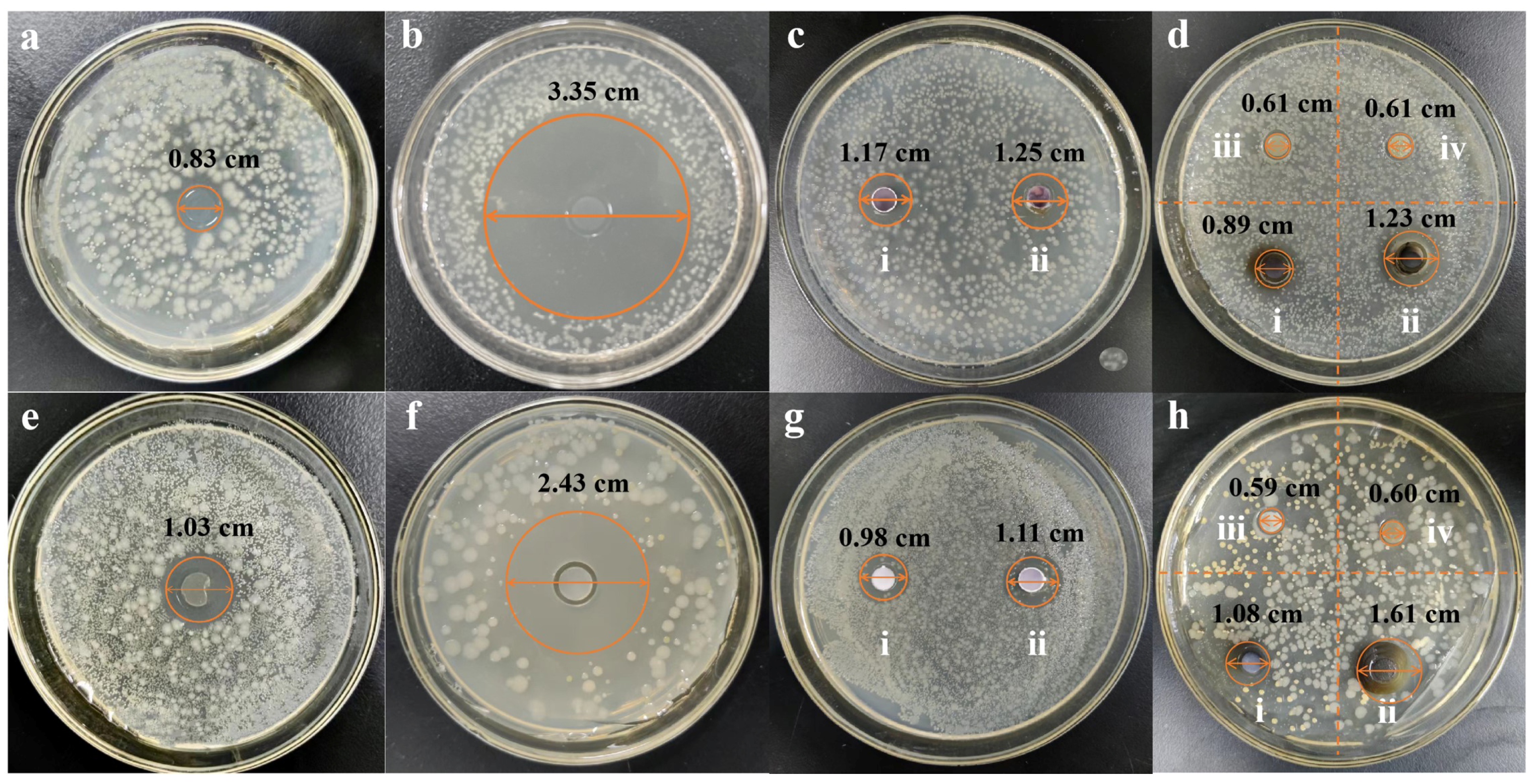 Nanomaterials 15 01064 g004