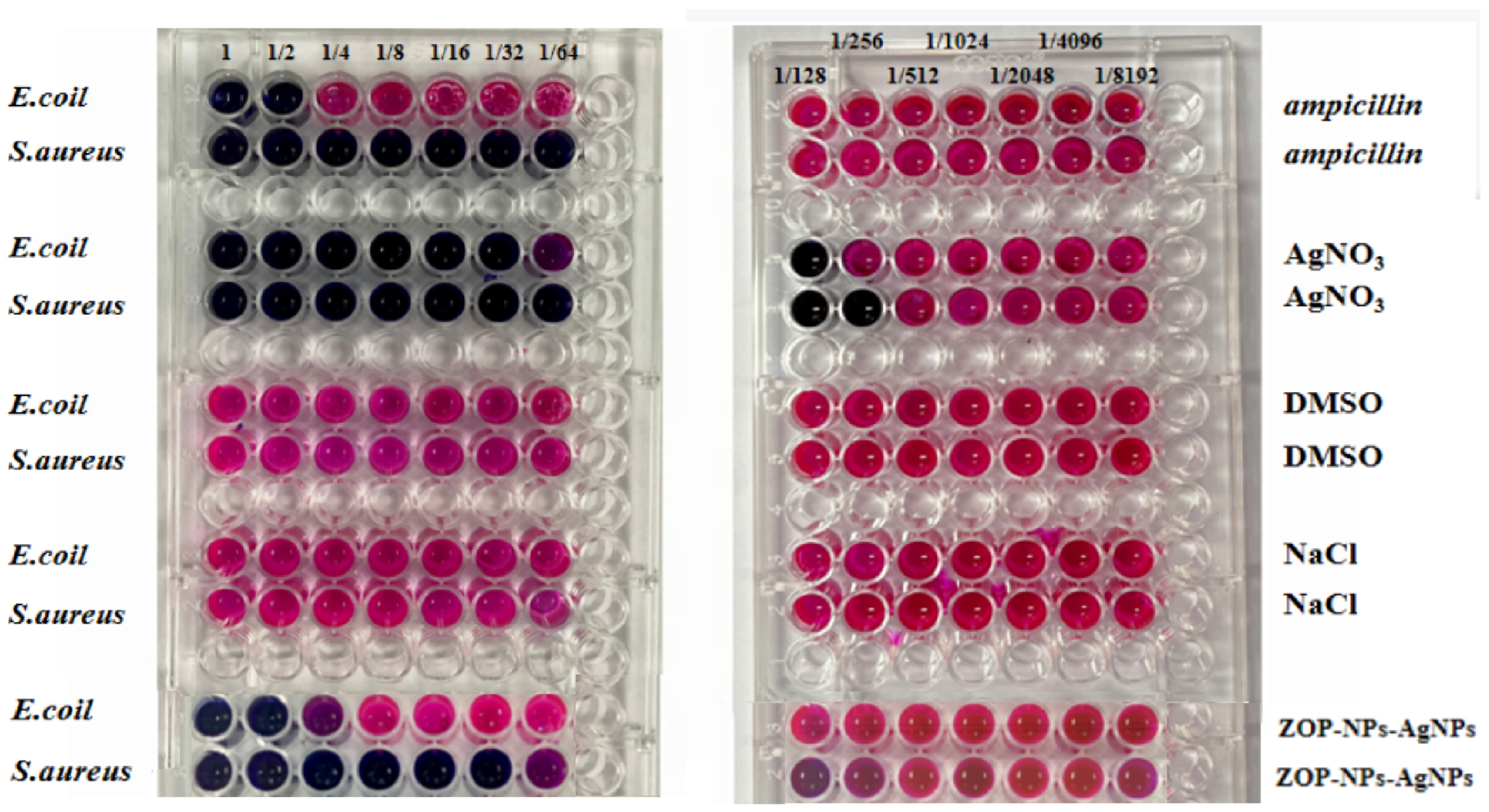 Nanomaterials 15 01064 g005