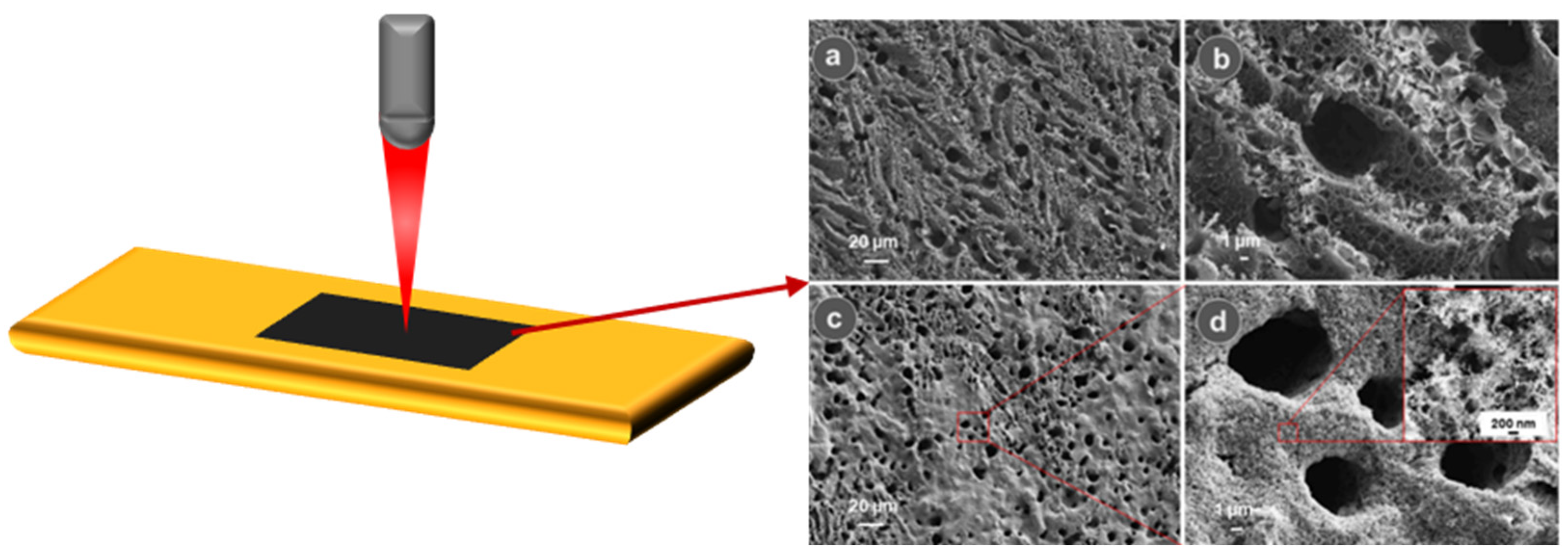Nanomaterials 15 01070 g005