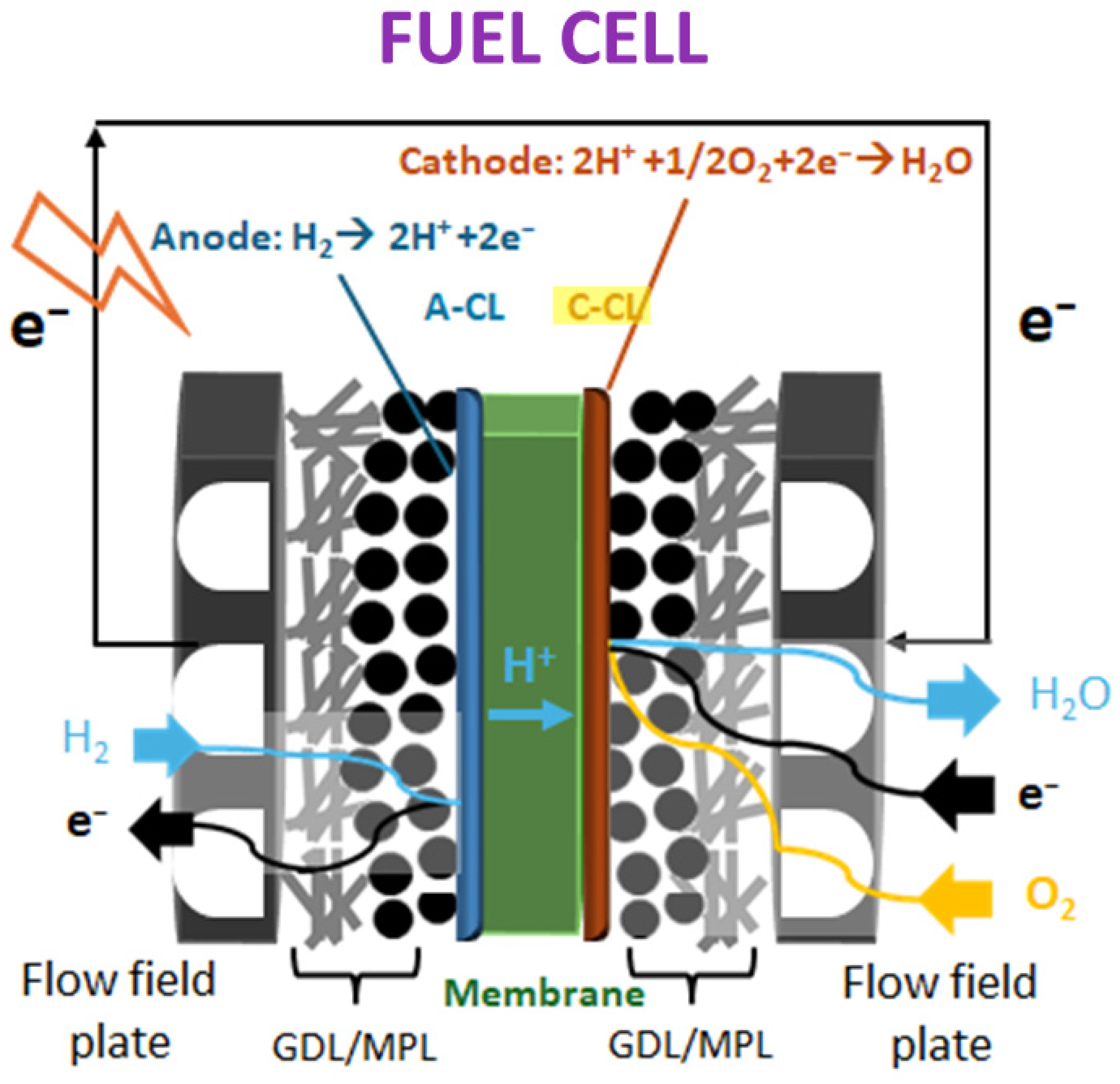 Nanomaterials 15 01070 g013