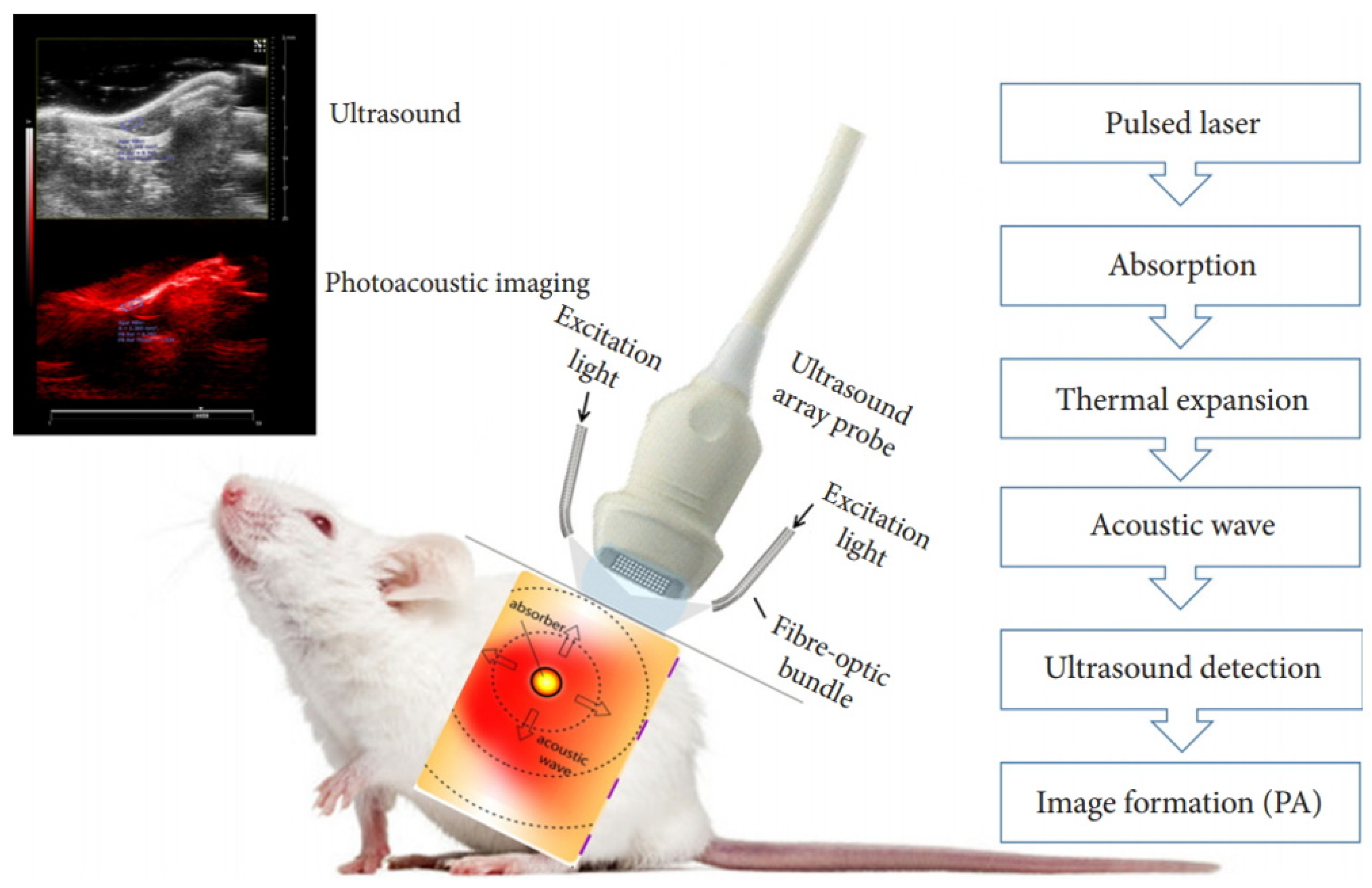 Nanomaterials 15 01074 g003
