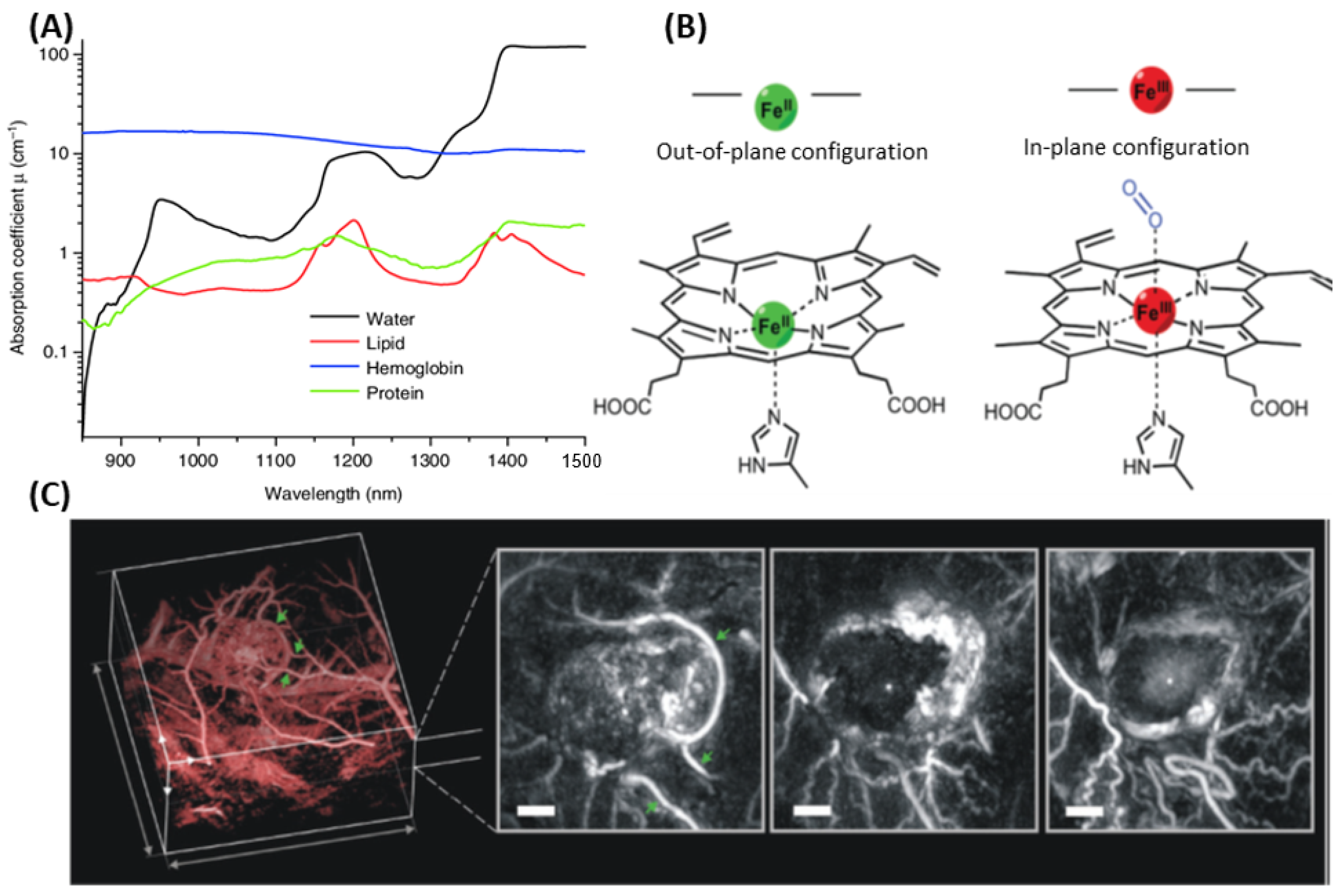 Nanomaterials 15 01074 g005
