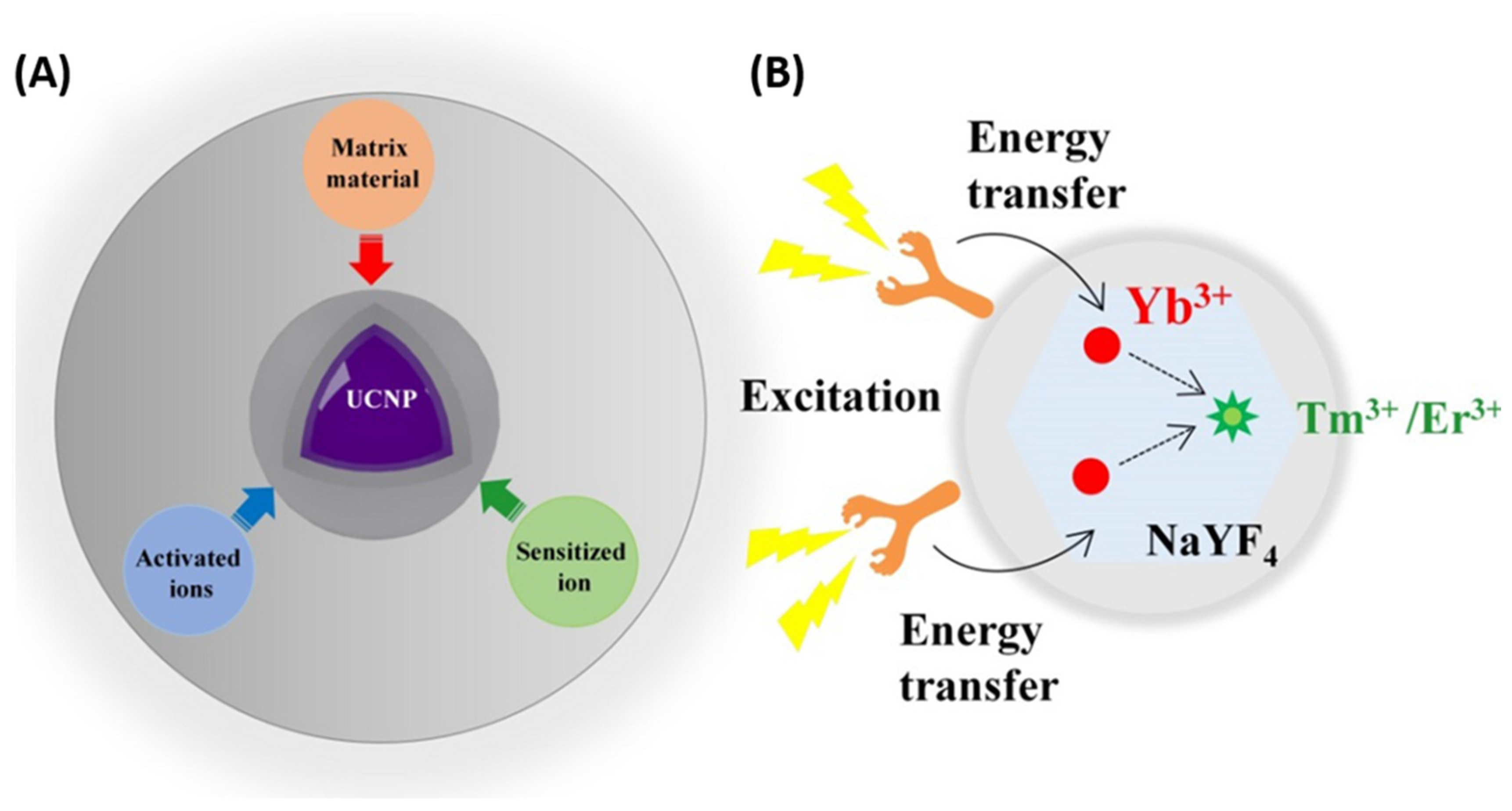 Nanomaterials 15 01074 g007