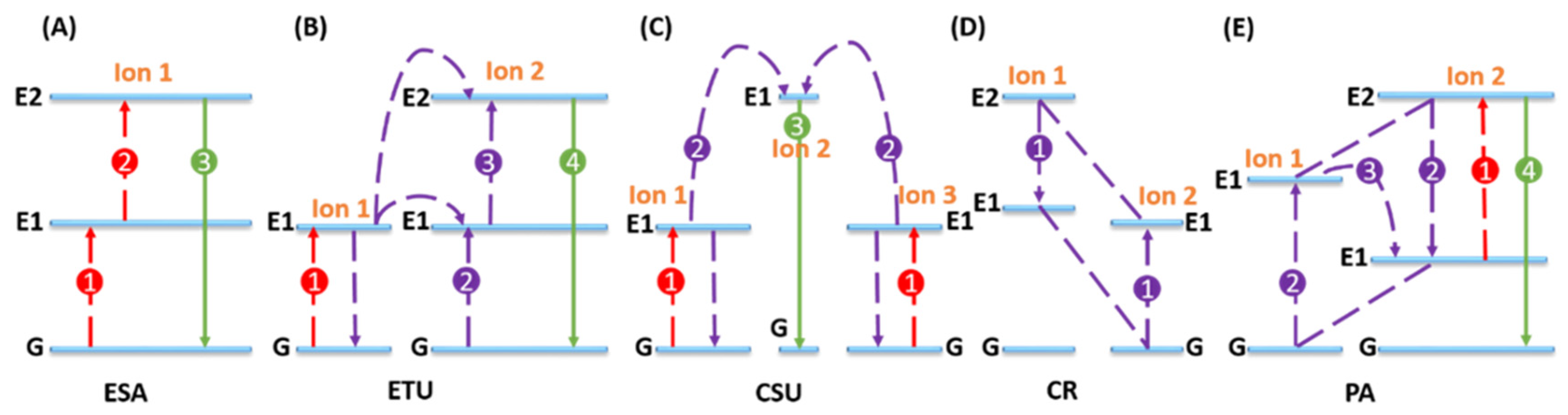 Nanomaterials 15 01074 g008