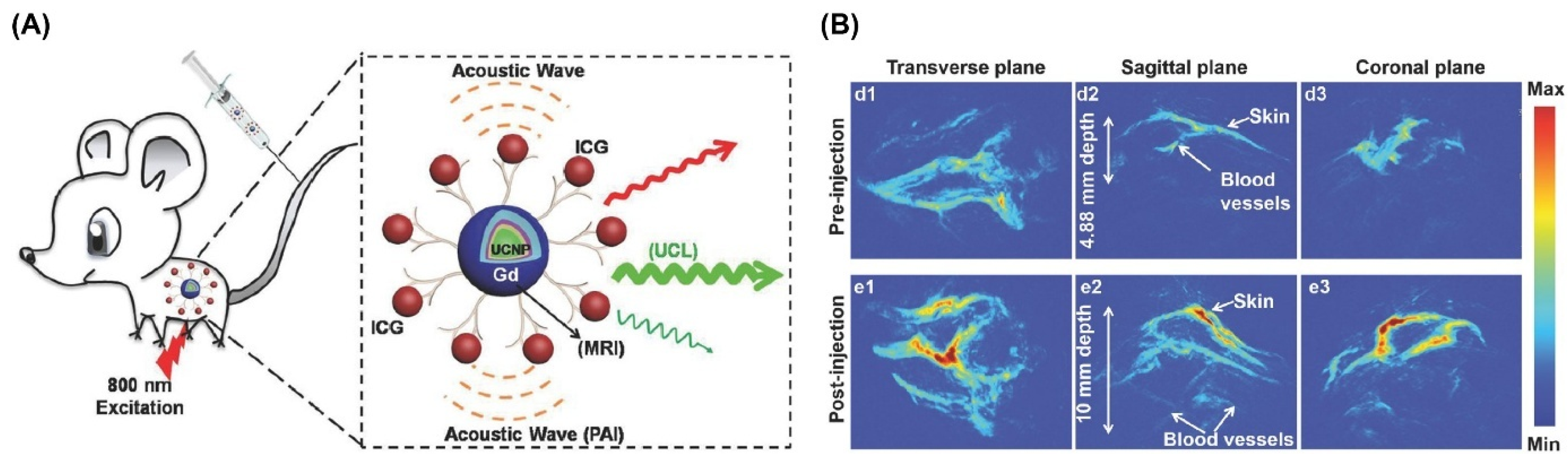Nanomaterials 15 01074 g012