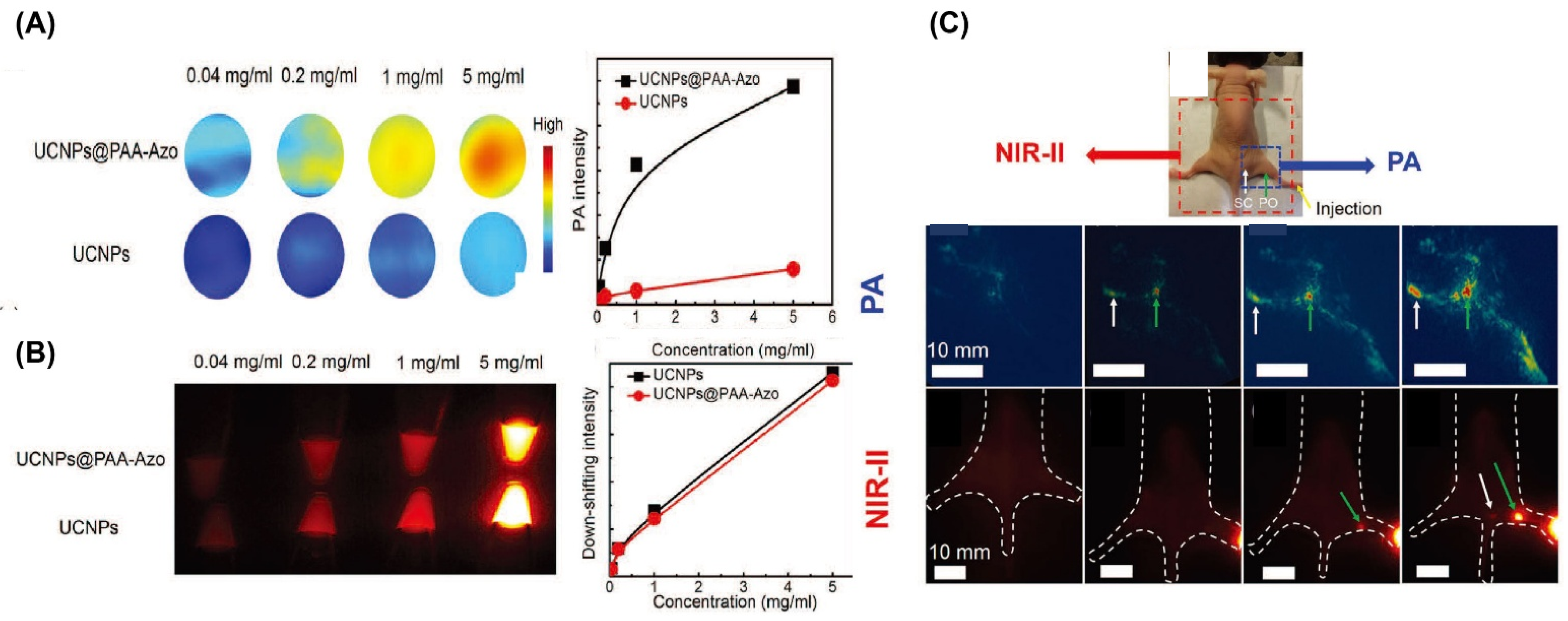 Nanomaterials 15 01074 g013
