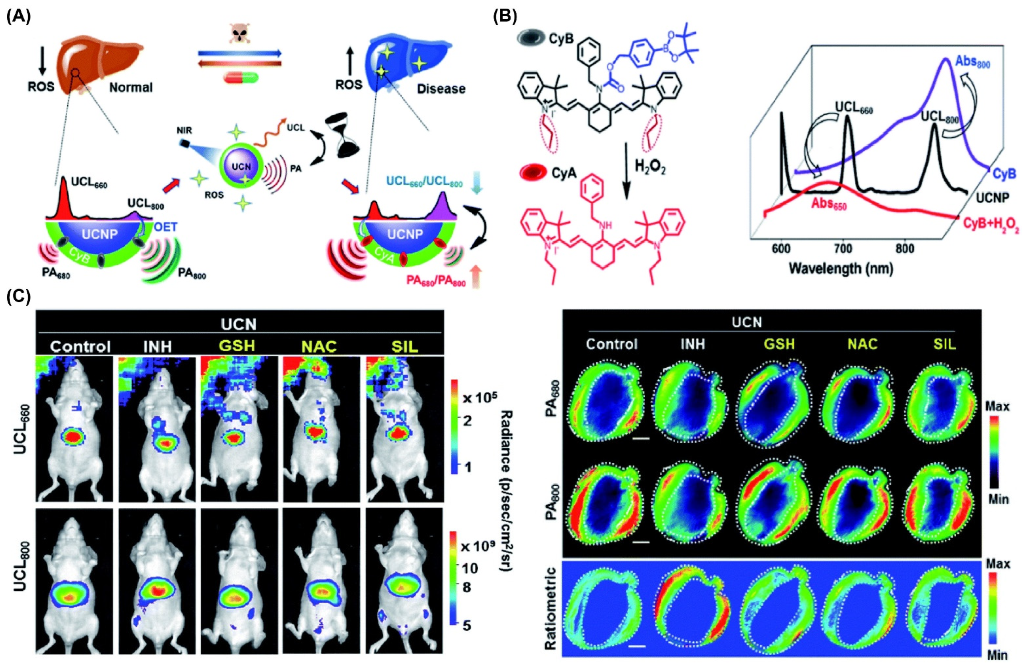 Nanomaterials 15 01074 g014